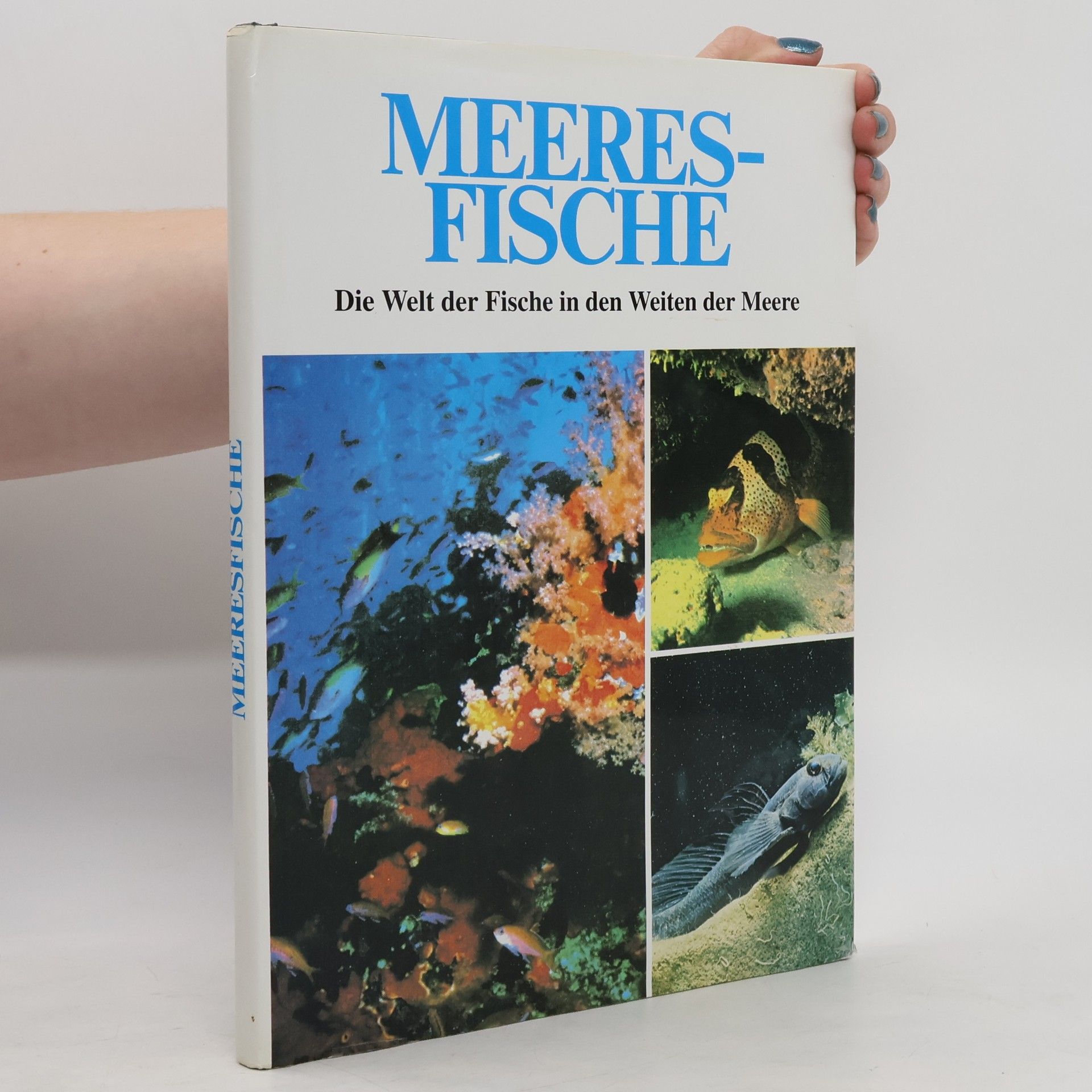 Gisella Dedionigi Meeres-Fische