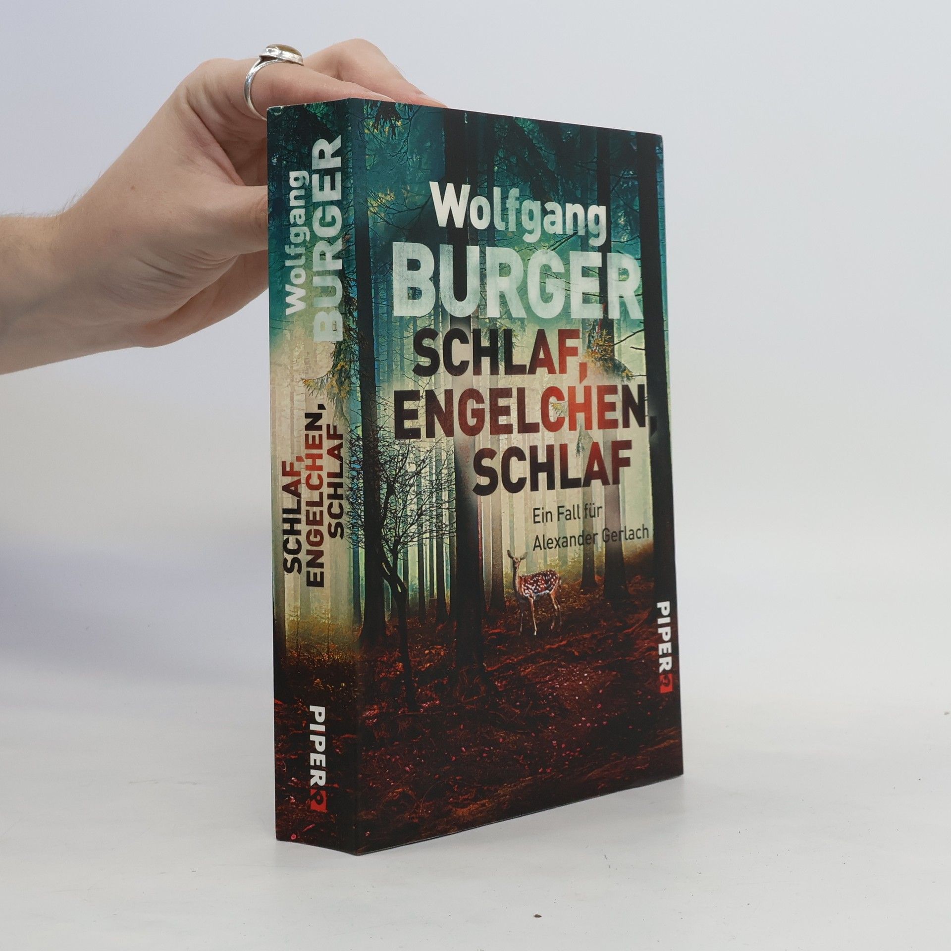 Wolfgang Burger Schlaf, Engelchen, schlaf