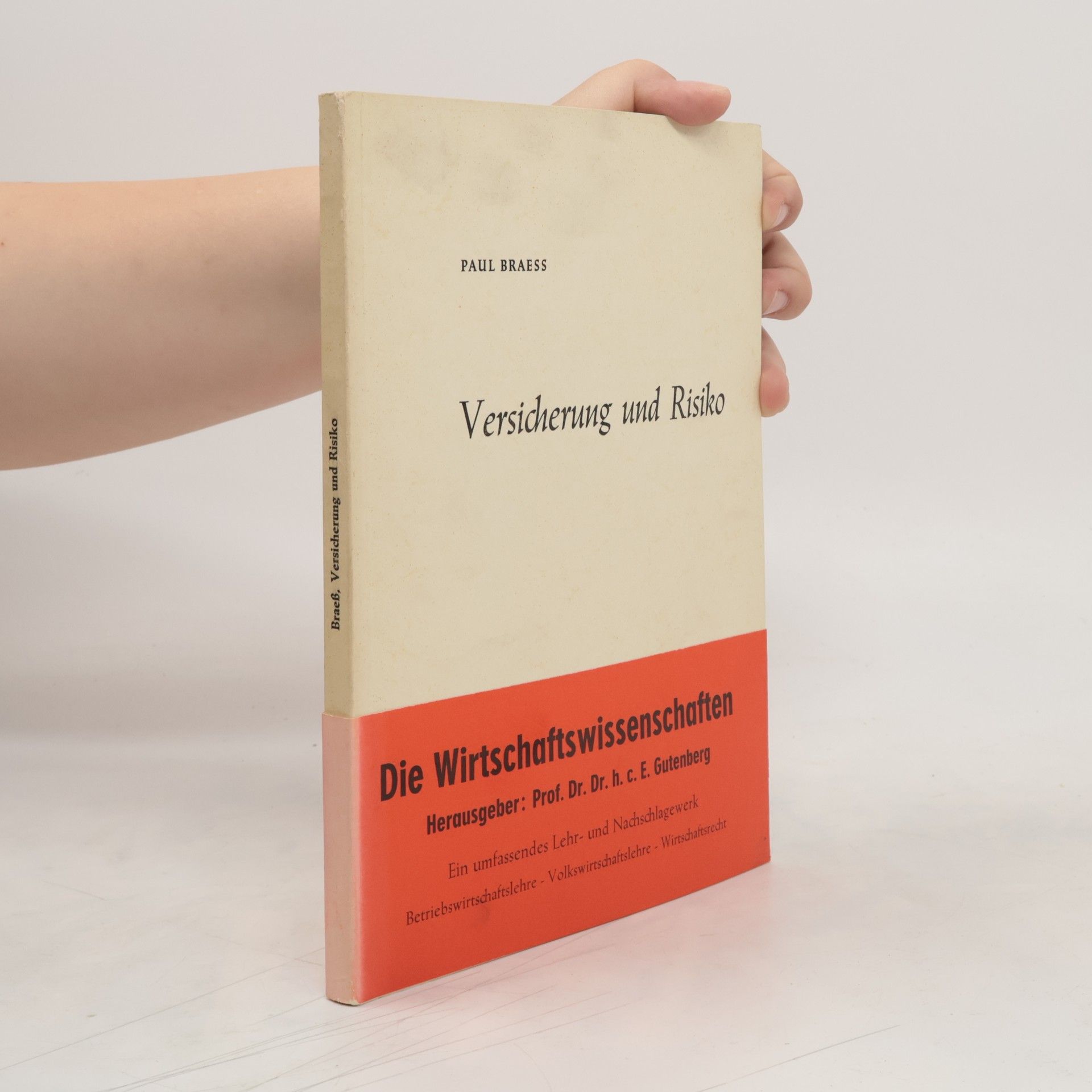 Paul Braess Versicherung und Risiko
