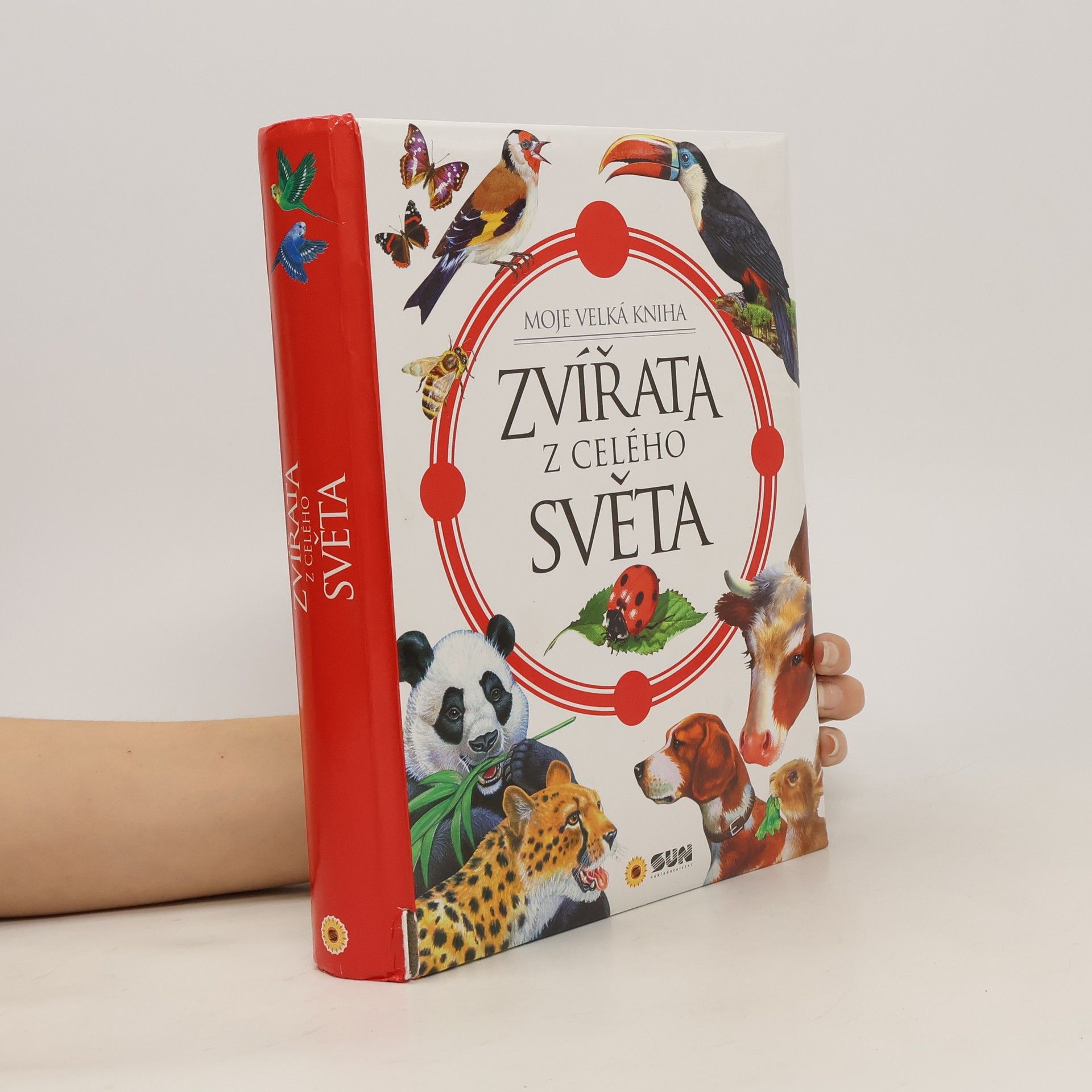 Francisca Valiente Zvířata z celého světa : moje velká kniha
