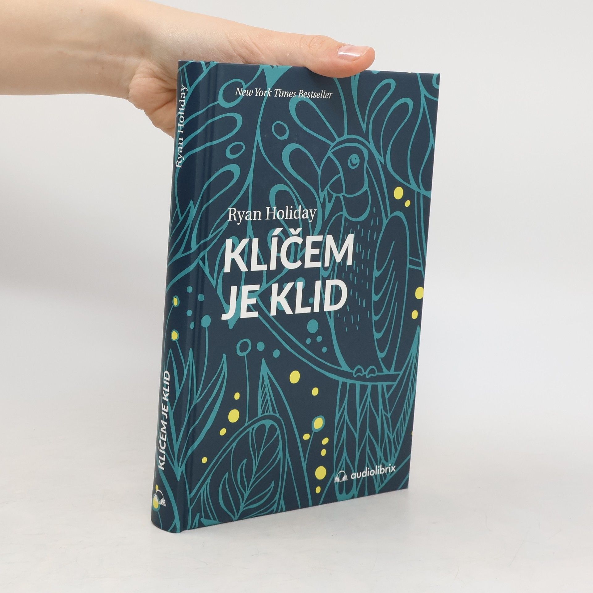 Ryan Holiday Klíčem je klid