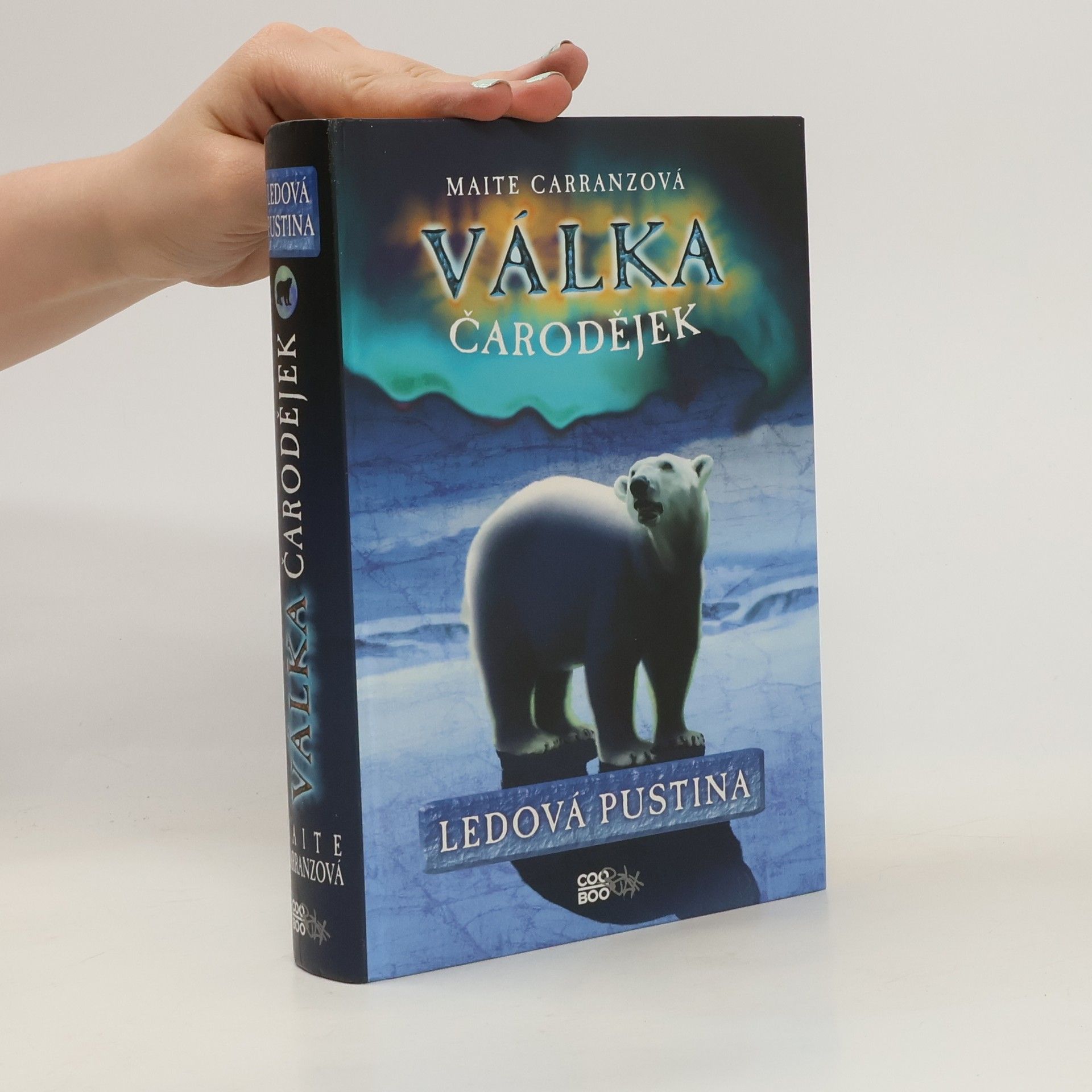 Maite Carranza Ledová pustina. Válka čarodějek