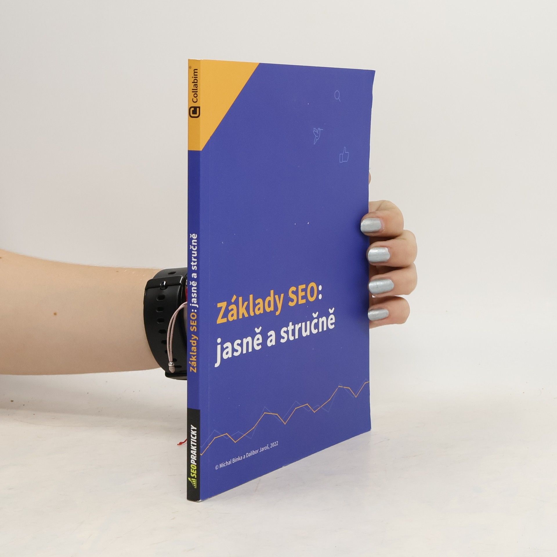 Michal Binka Základy SEO: jasně a stručně