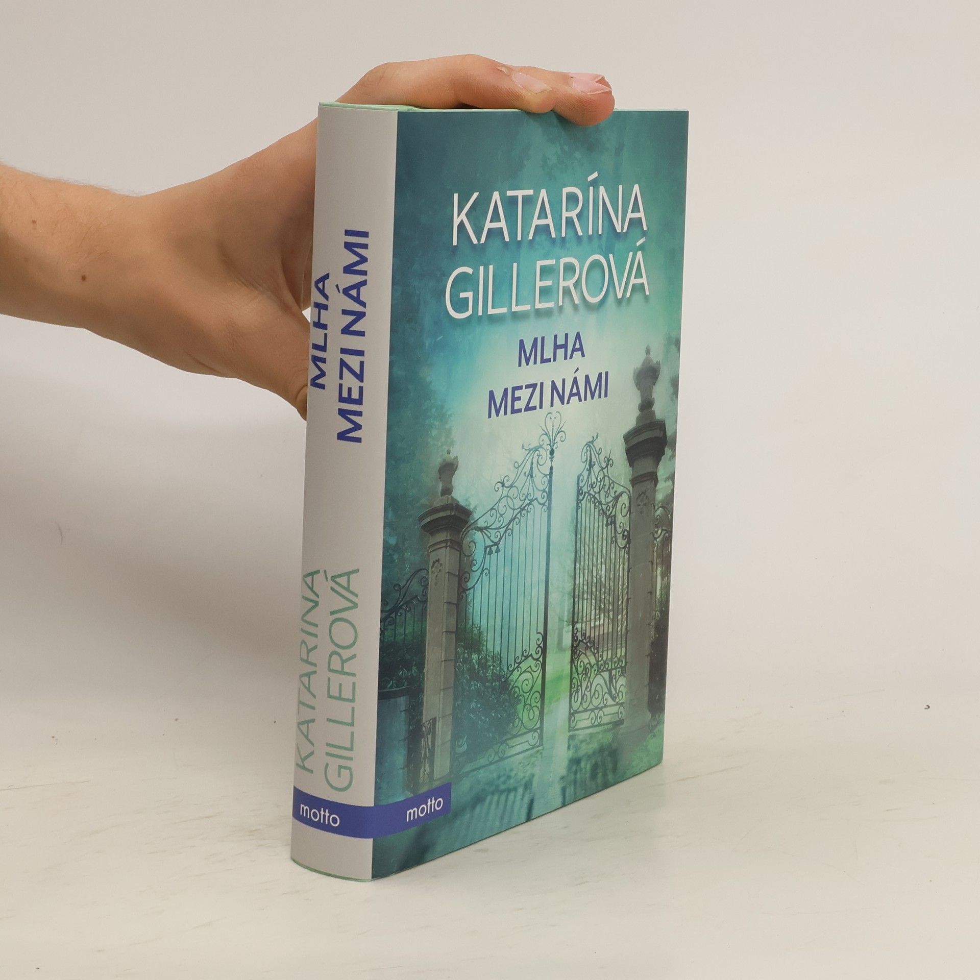Gillerová Katarína Mlha mezi námi