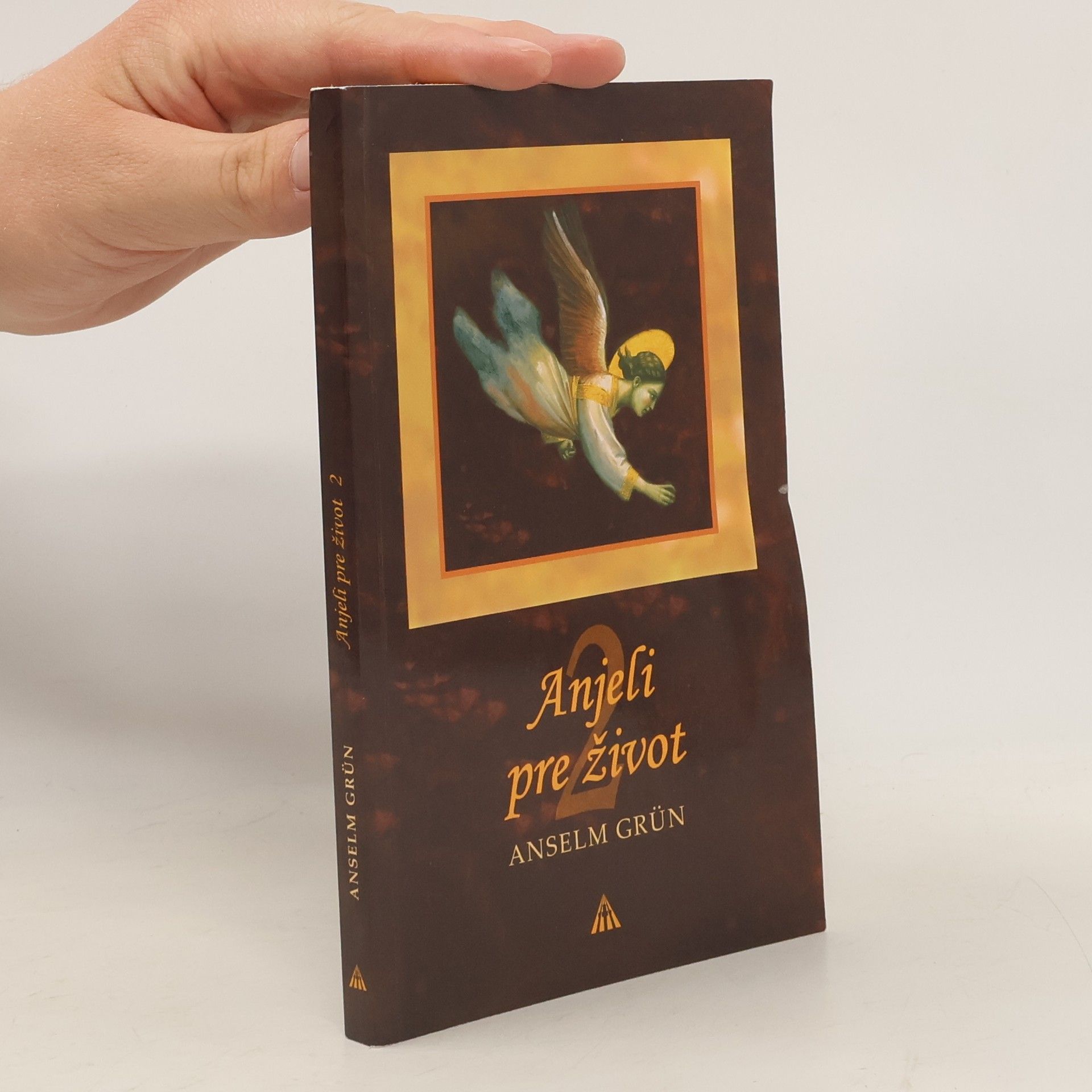 Anselm Grün Anjeli pre život 2