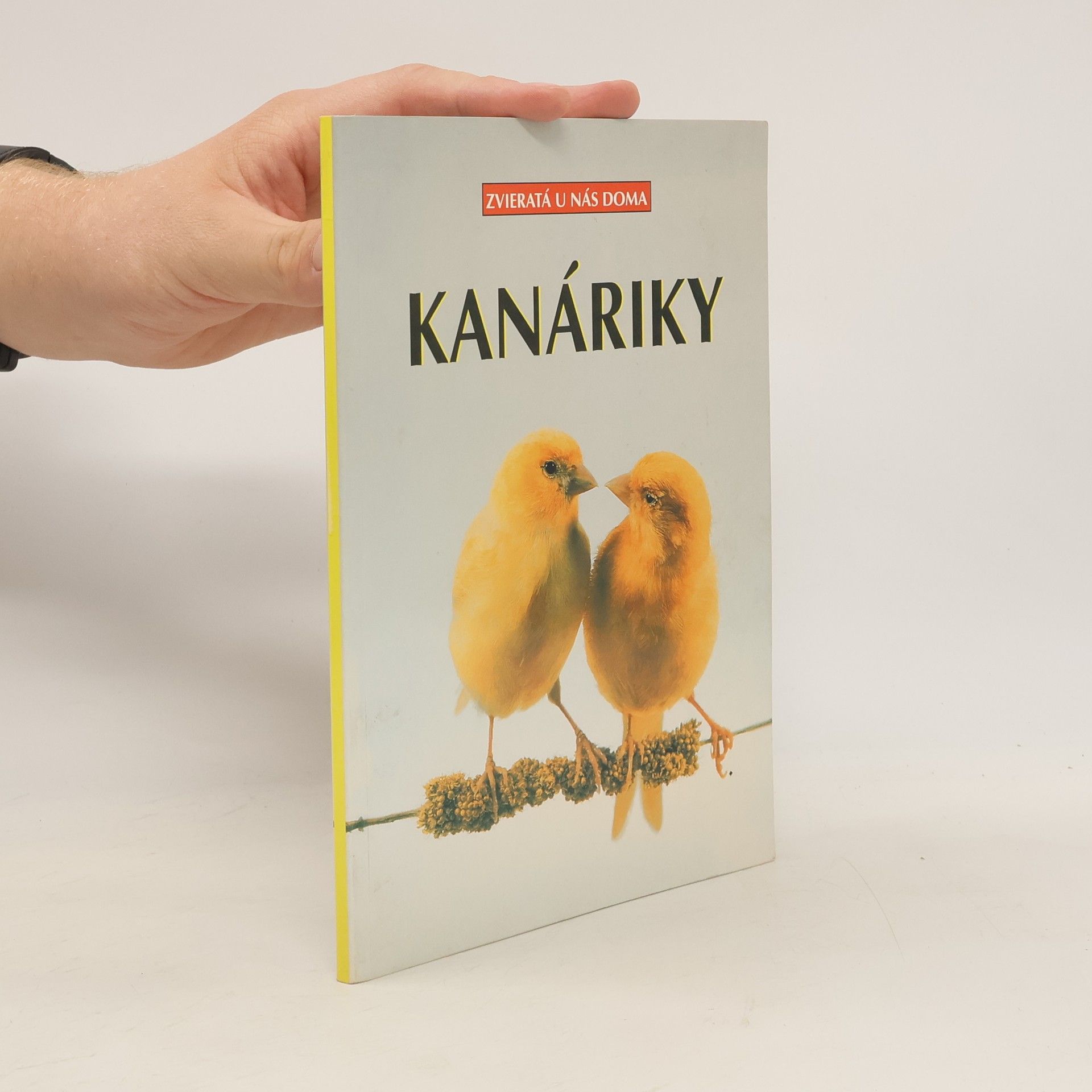 Markus Hübl Kanáriky