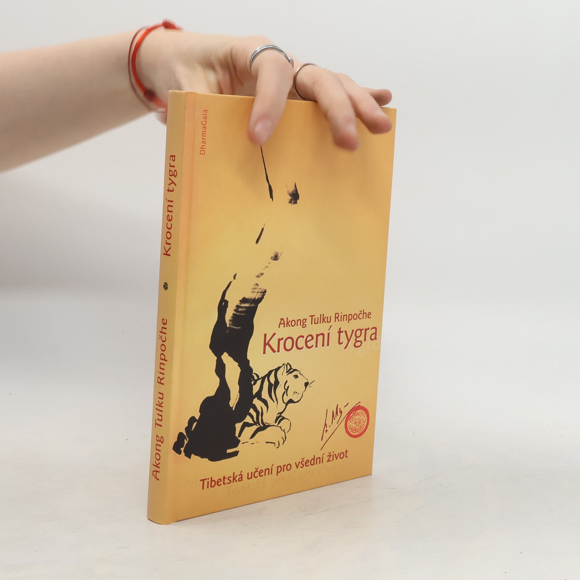 Akong Tulku Rinpočhe Krocení tygra