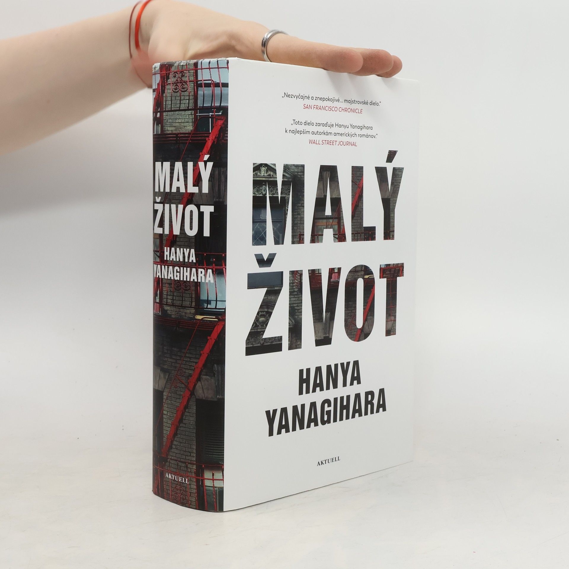 Hanya Yanagihara Malý život
