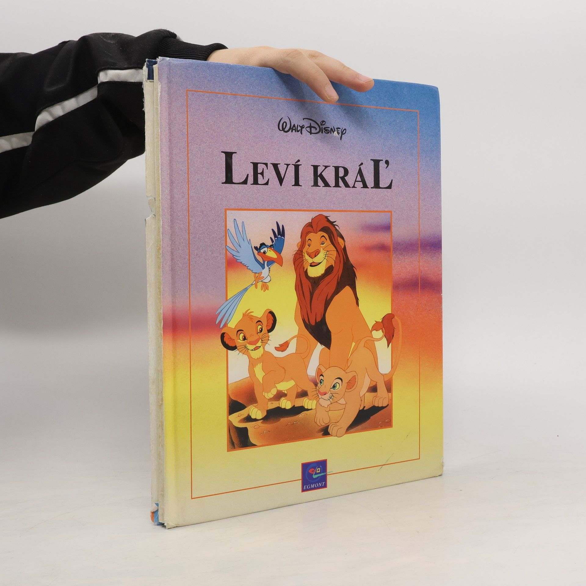 Rudolf Čižmárik Leví kráľ