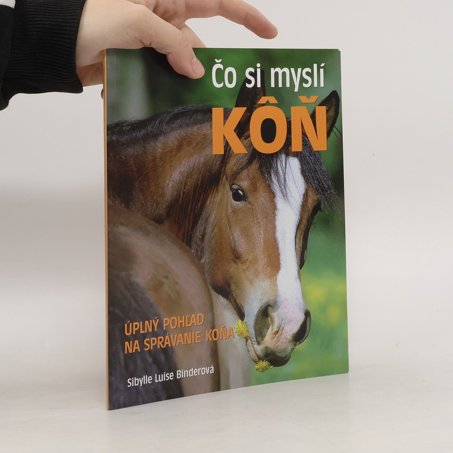 Sibylle Luise Binder Čo si myslí kôň