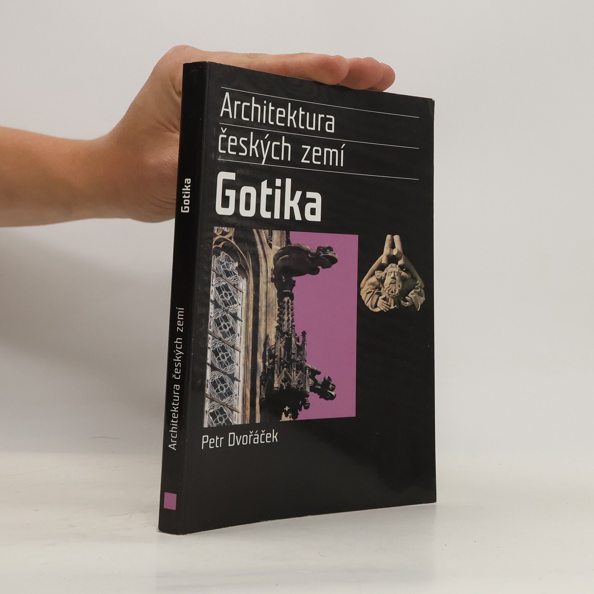 Petr Dvořáček Gotika. Architektura českých zemí