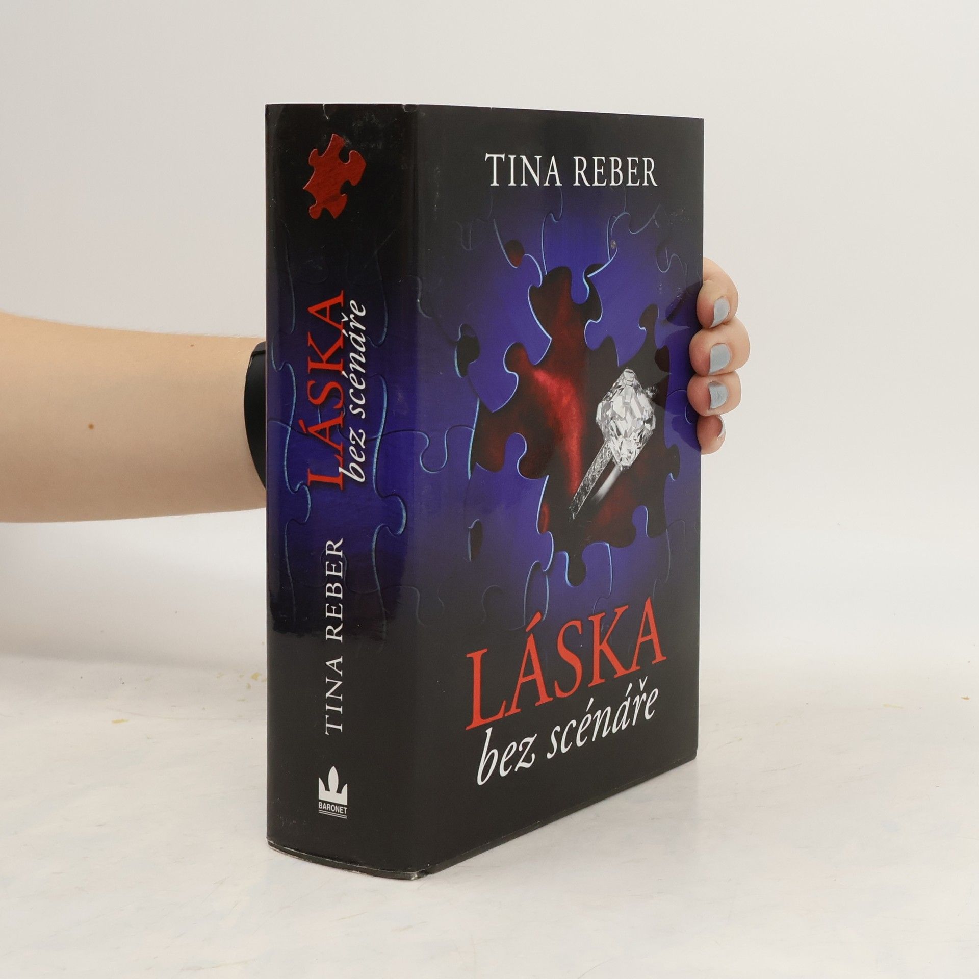 Tina Reber Láska bez scénáře