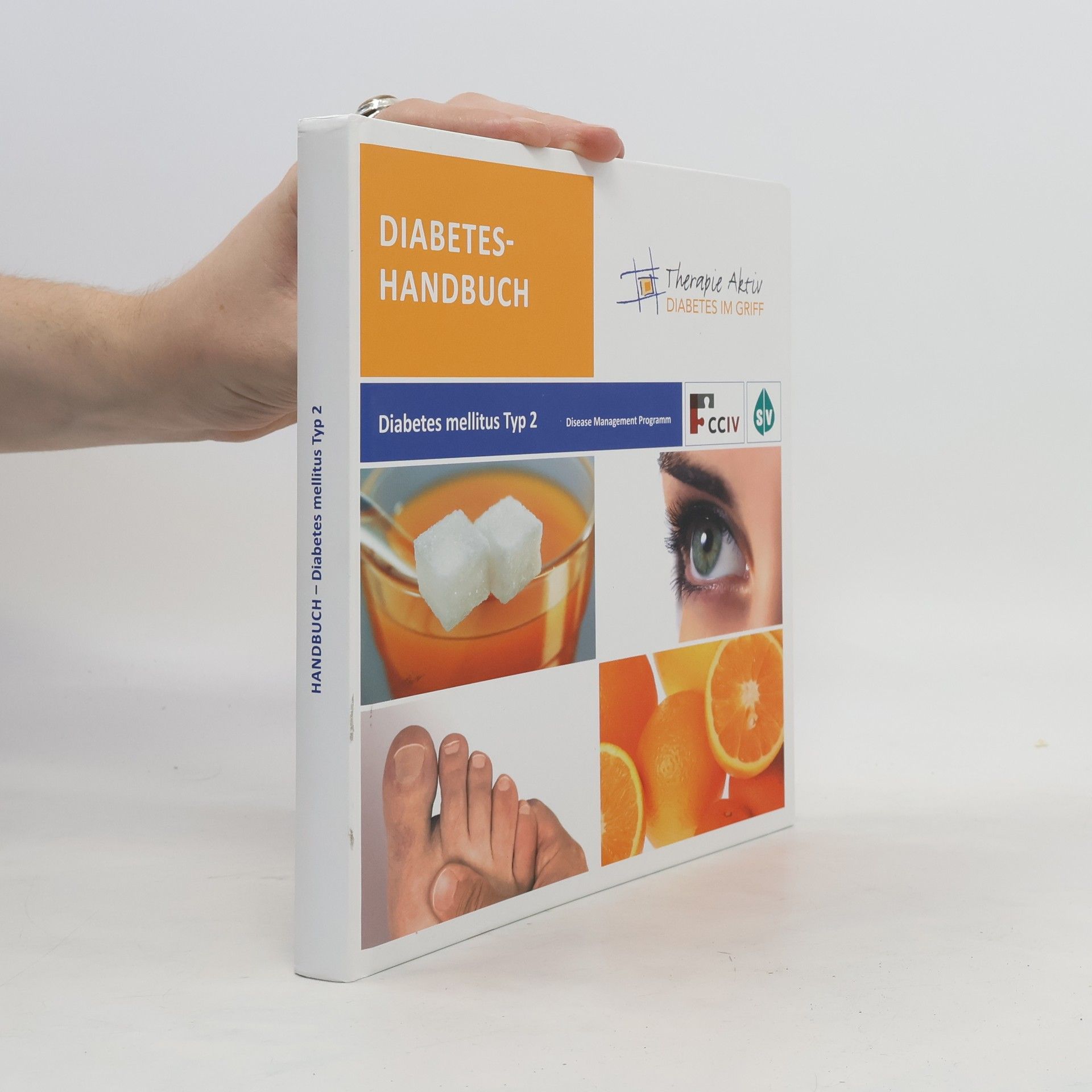 Kolektív autorov Diabetes-Handbuch. Diabetes mellitus Typ 2