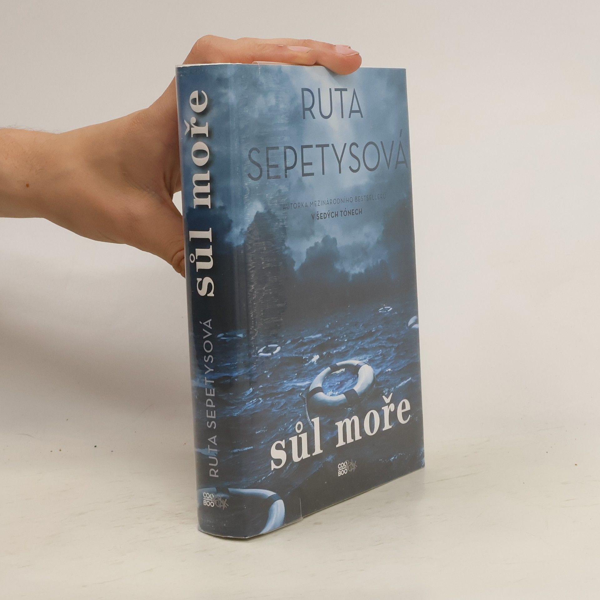 Ruta Sepetys Sůl moře