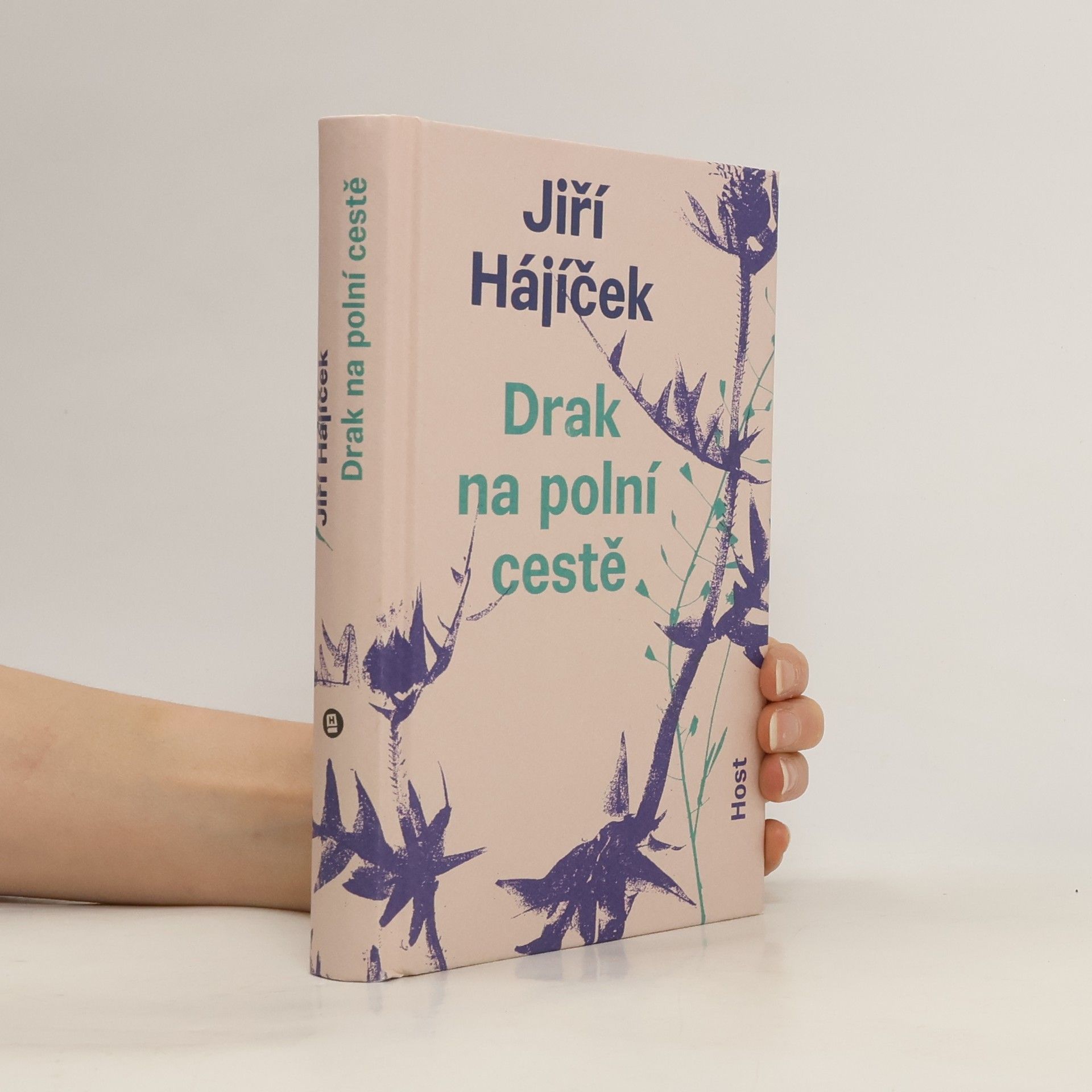 Jiří Hájíček Drak na polní cestě