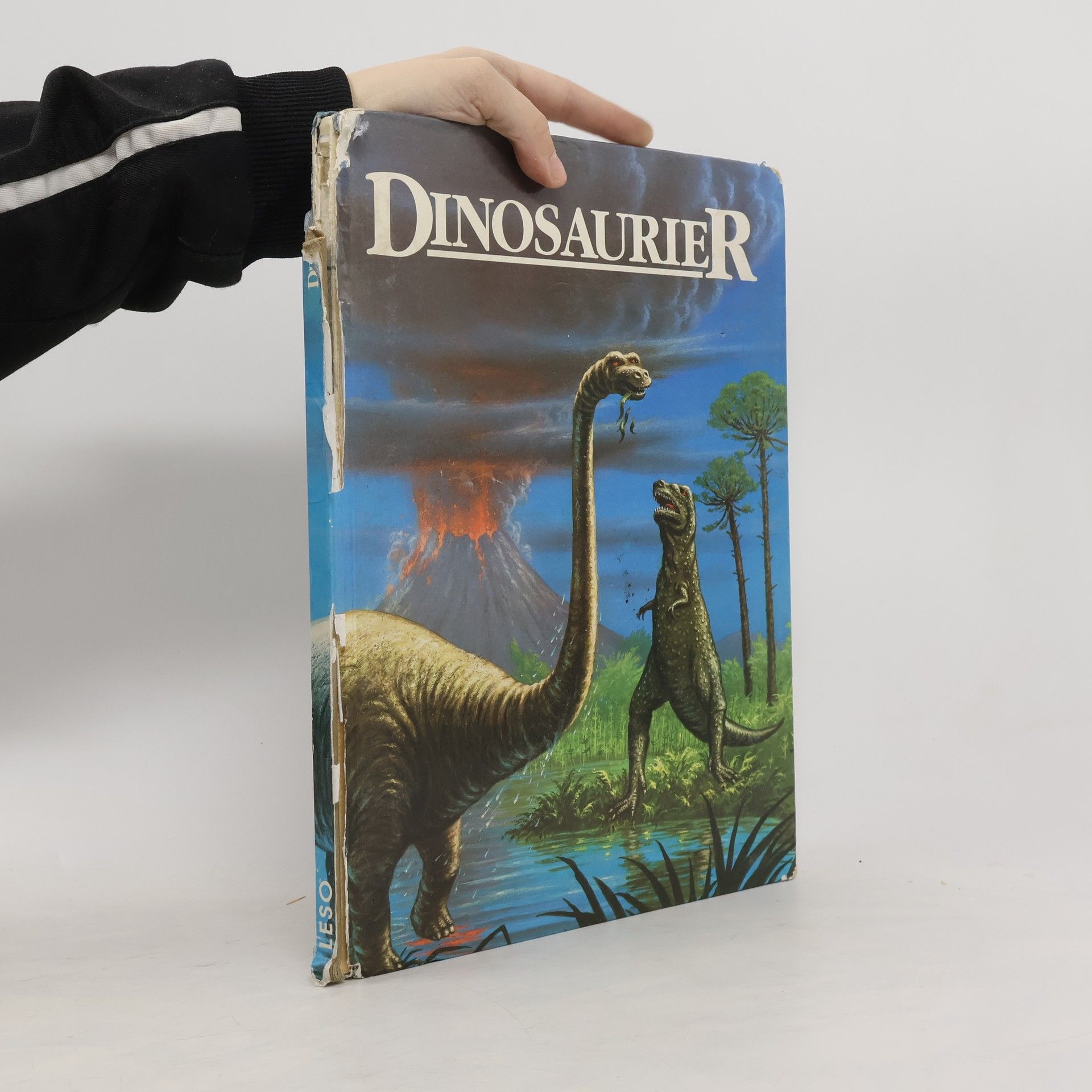 David A. Hardy Das große Buch der Dinosaurier