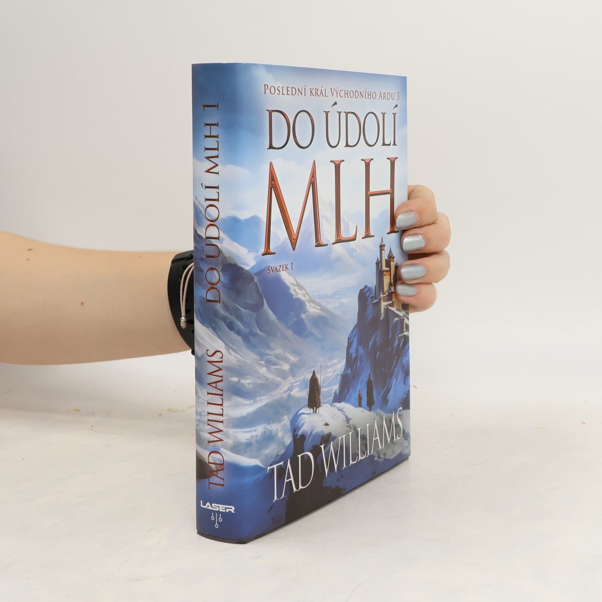 Tad Williams Do údolí mlh