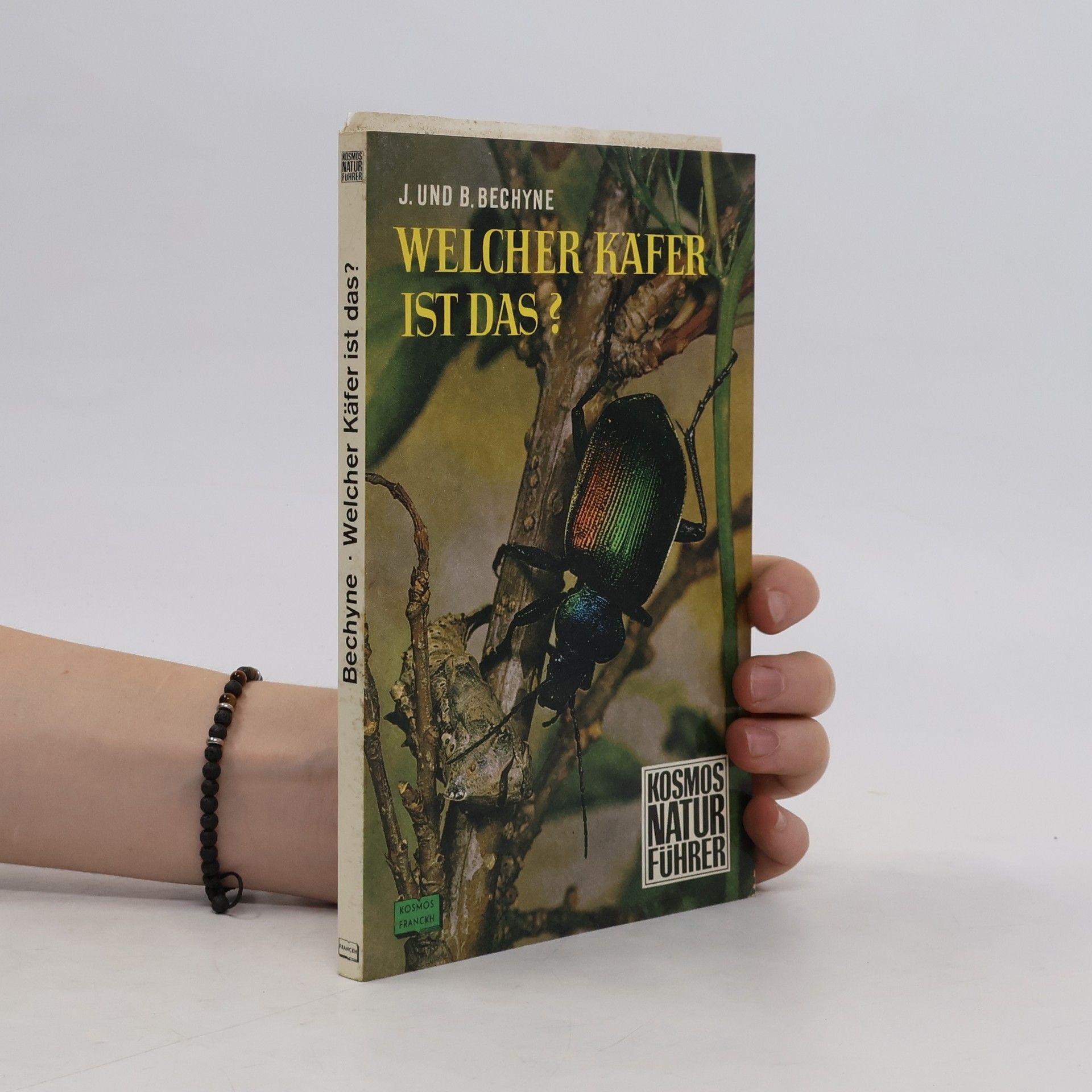 Jan Bechyně Welcher Käfer ist das?