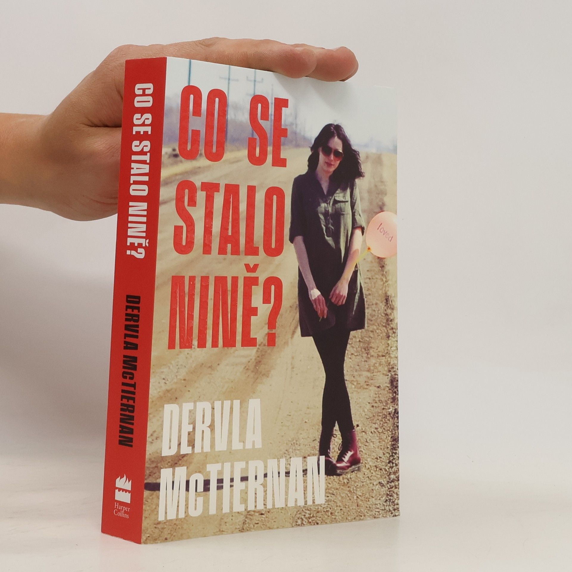 Dervla McTiernan Co se stalo Nině?