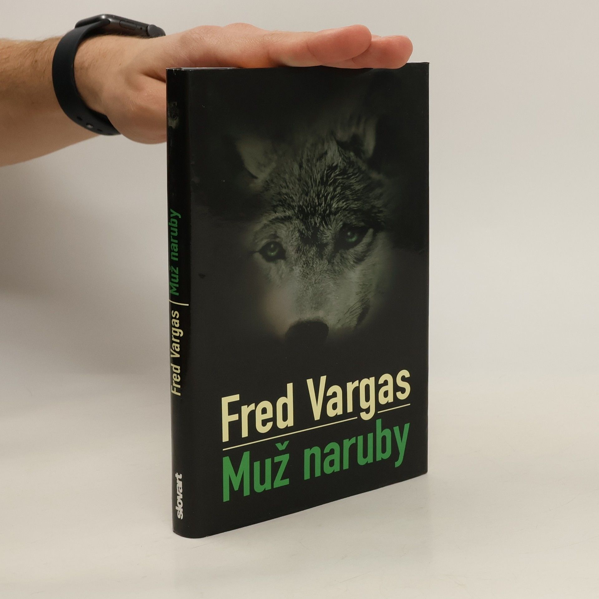 Fred Vargas Muž naruby