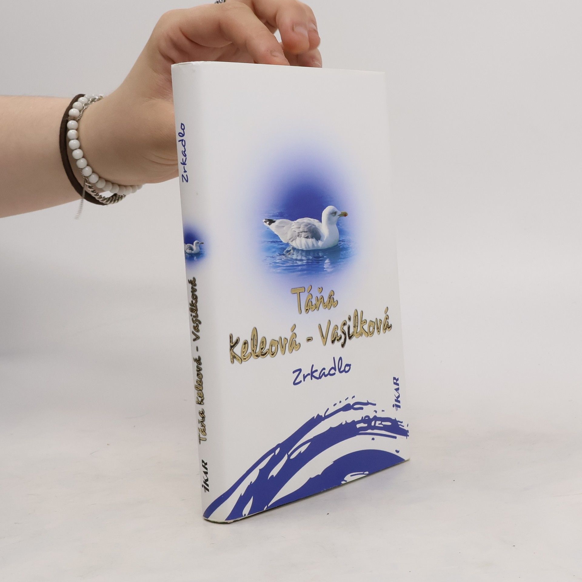 Táňa Keleová-Vasilková Zrkadlo