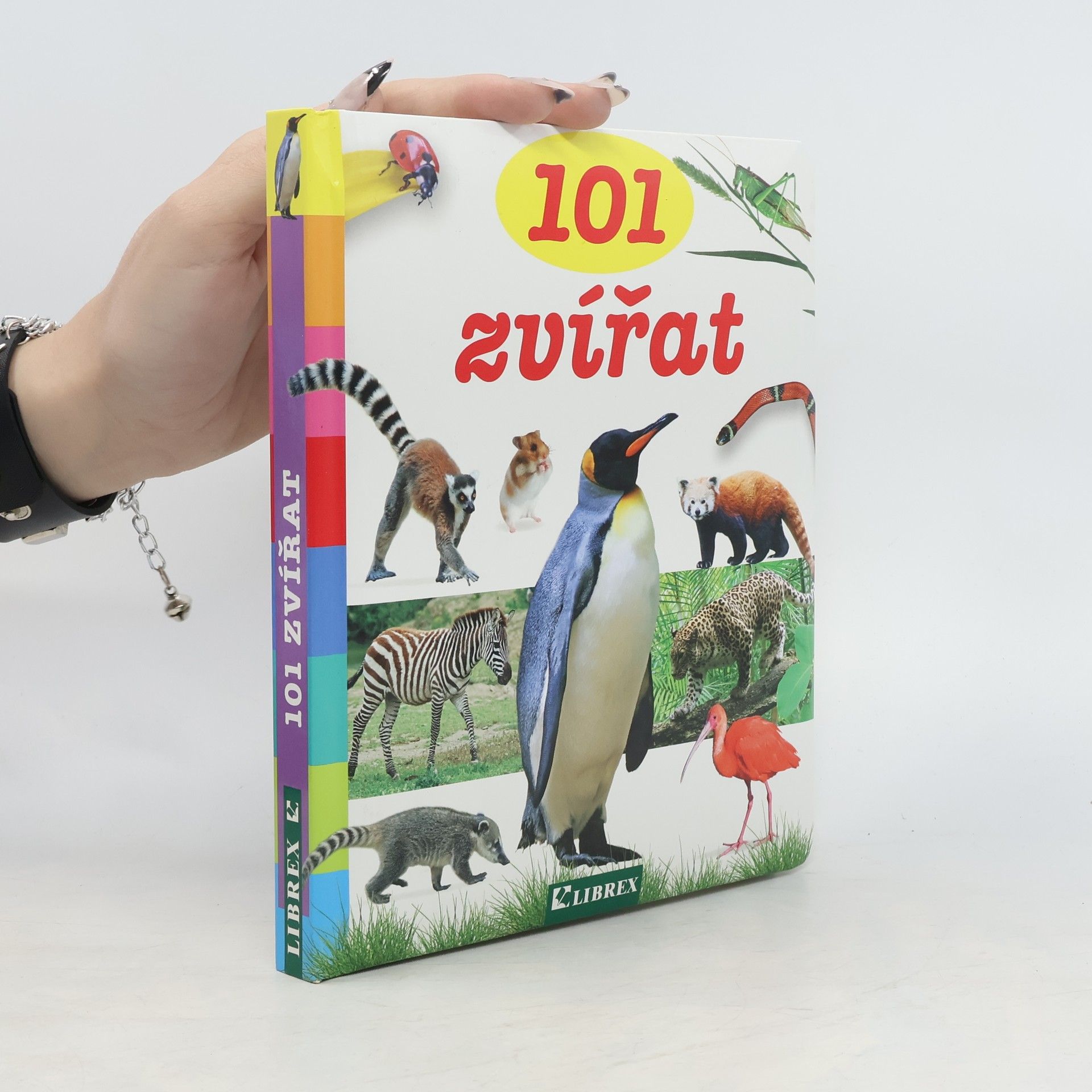 kolektiv 101 zvířat