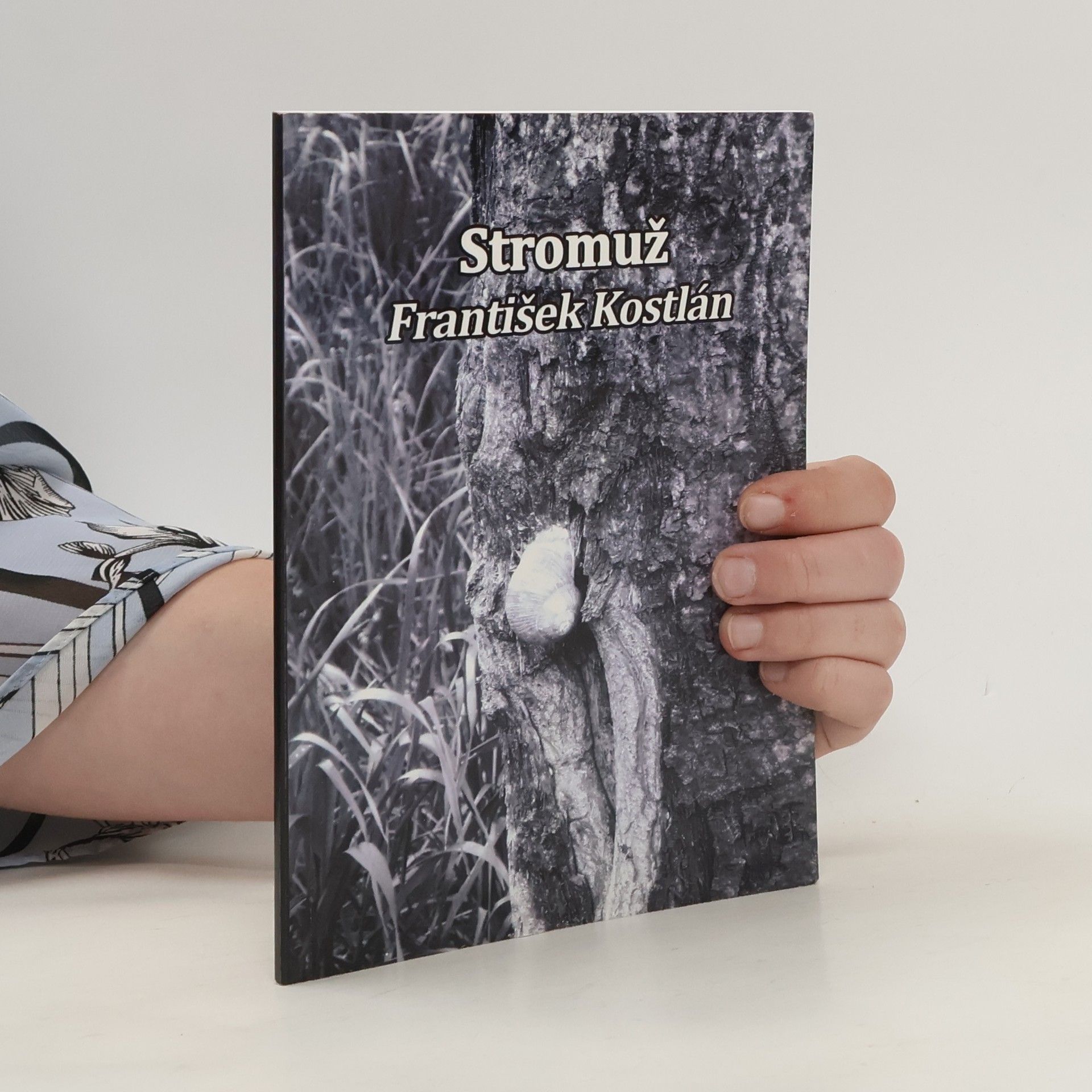 František Kostlán Stromuž