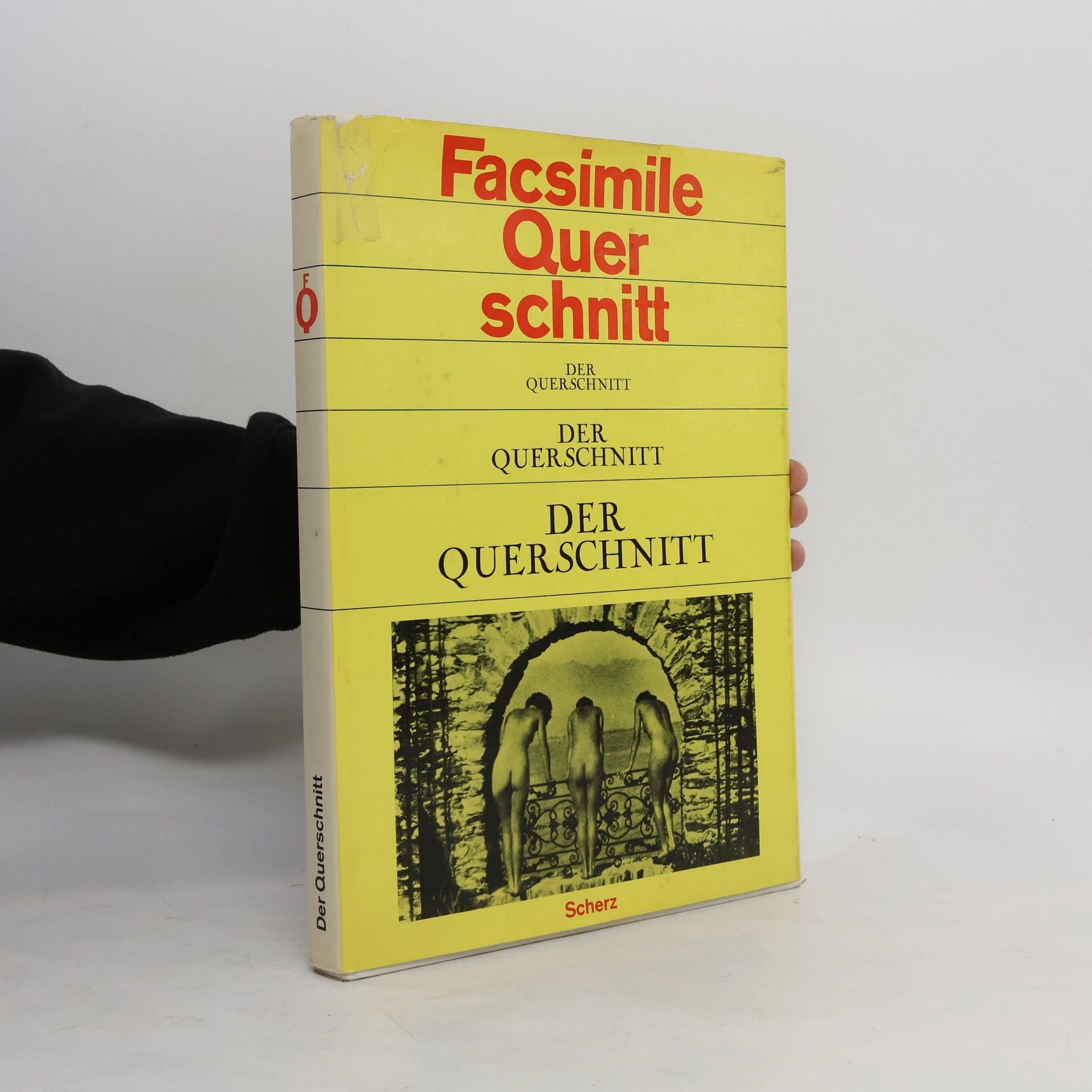 Wilmont Haacke Facsimilie Querschnitt. Der Querschnitt