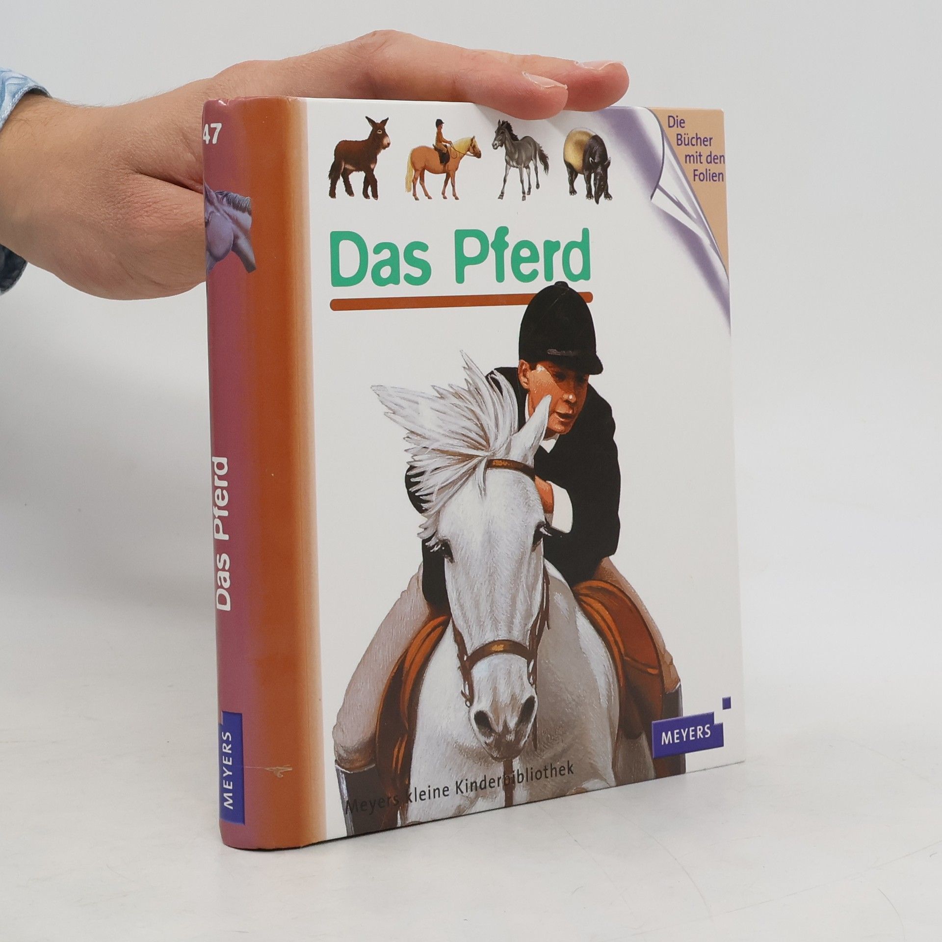 Henri Galeron Das Pferd