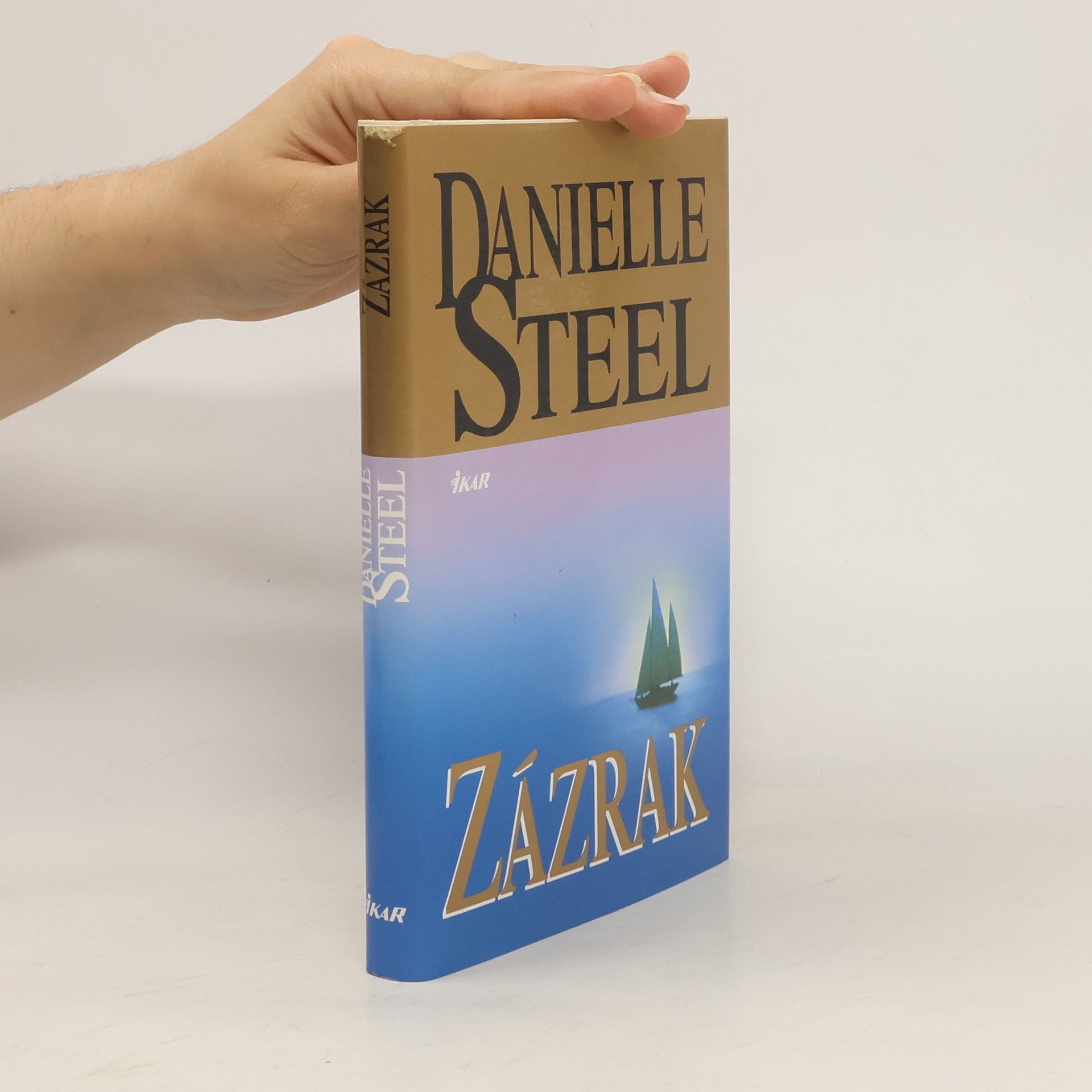 Danielle Steel Zázrak
