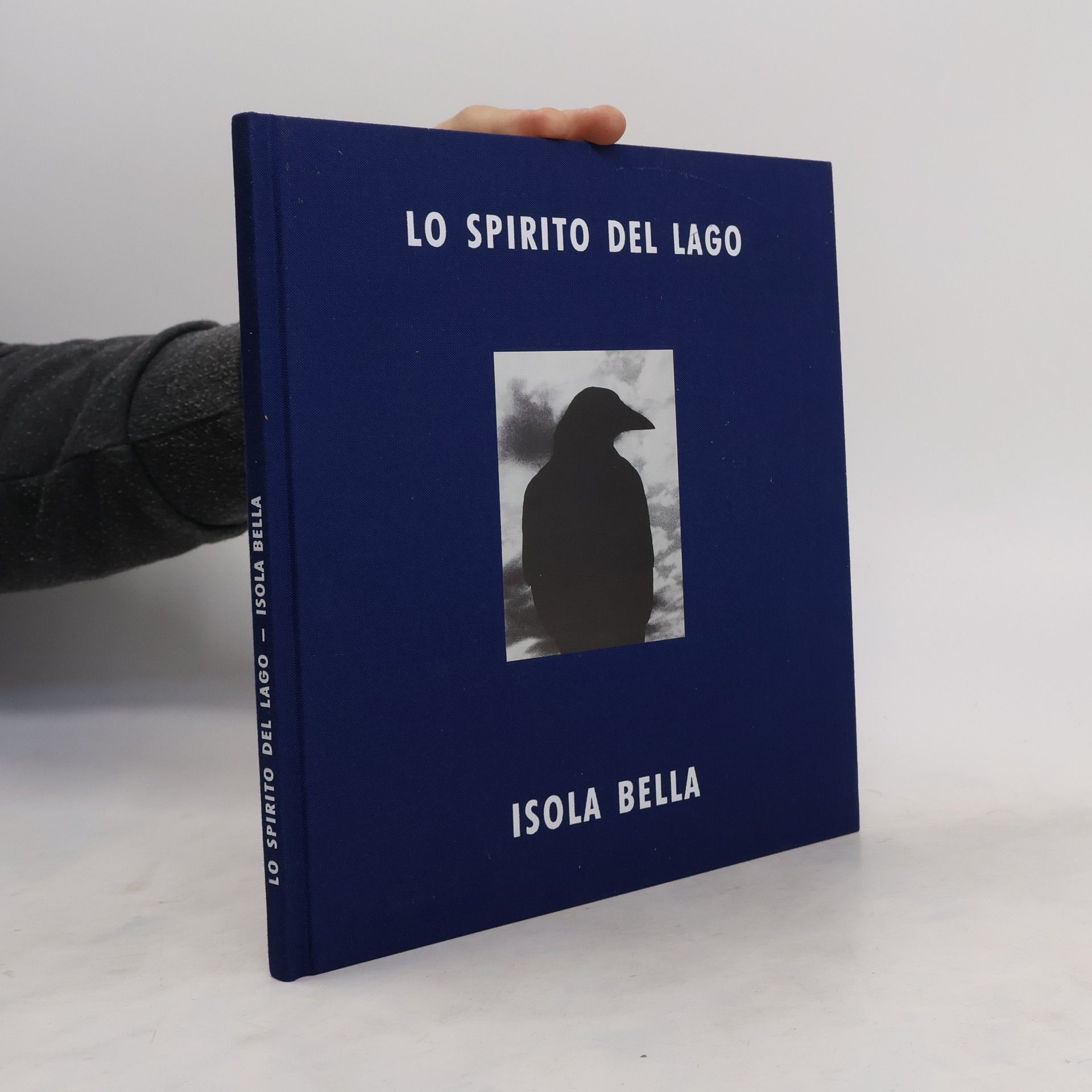 Ricarda Fox Lo Spirito del Lago