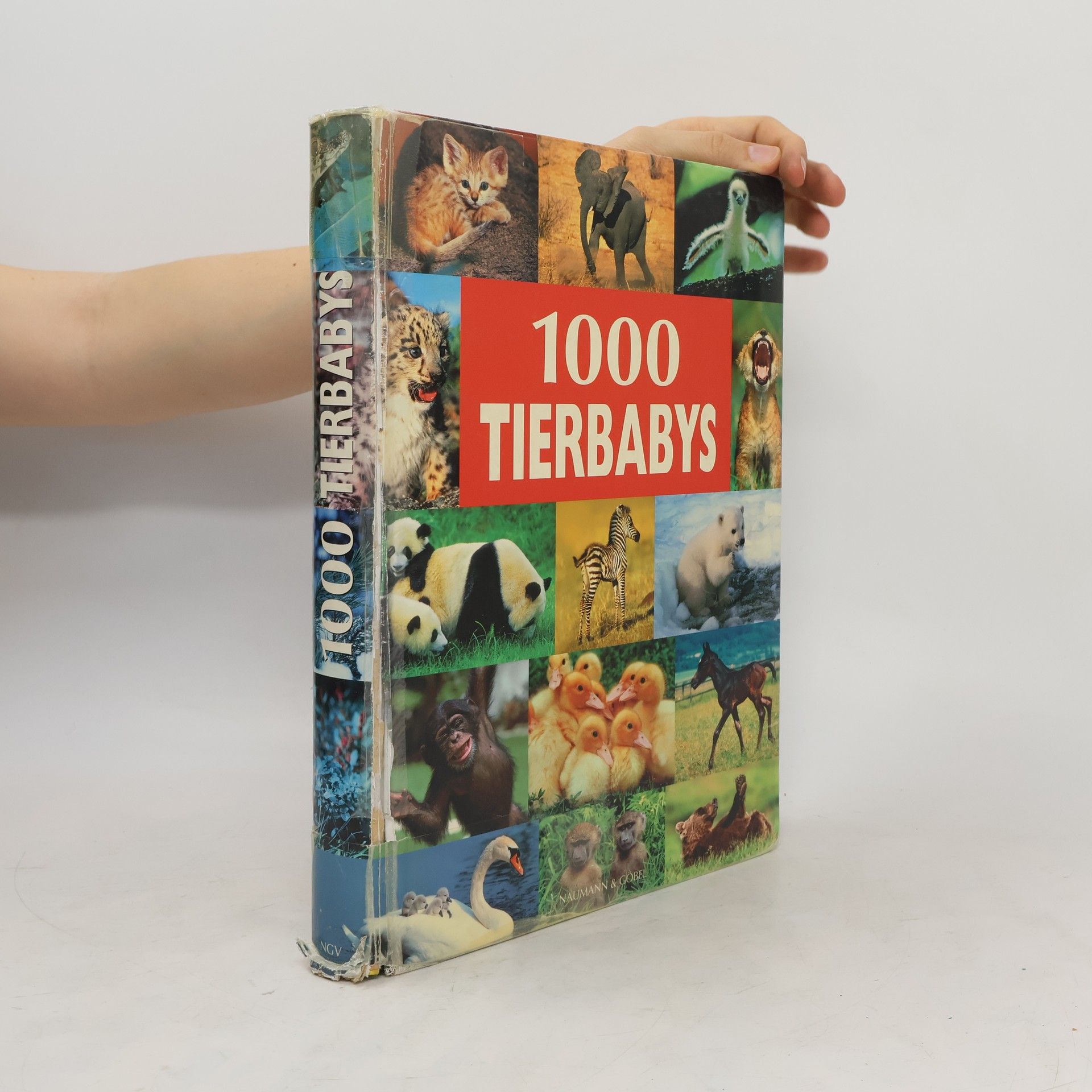 Ulrike Schöber 1000 Tierbabys