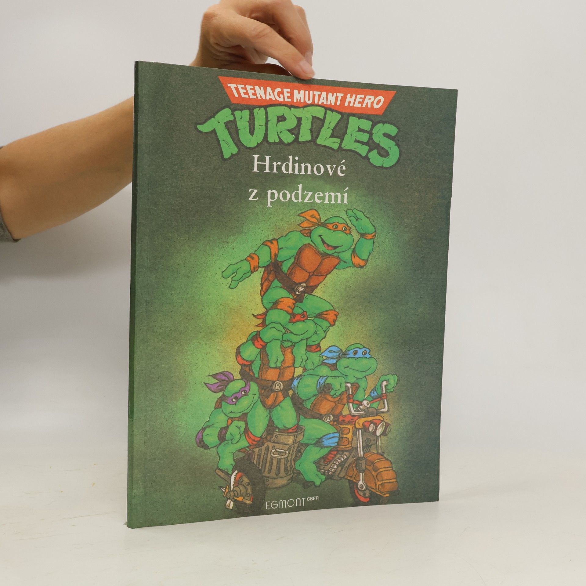 Maureen Spurgeon Teenage Mutant Ninja Turtles. Hrdinové z podzemí