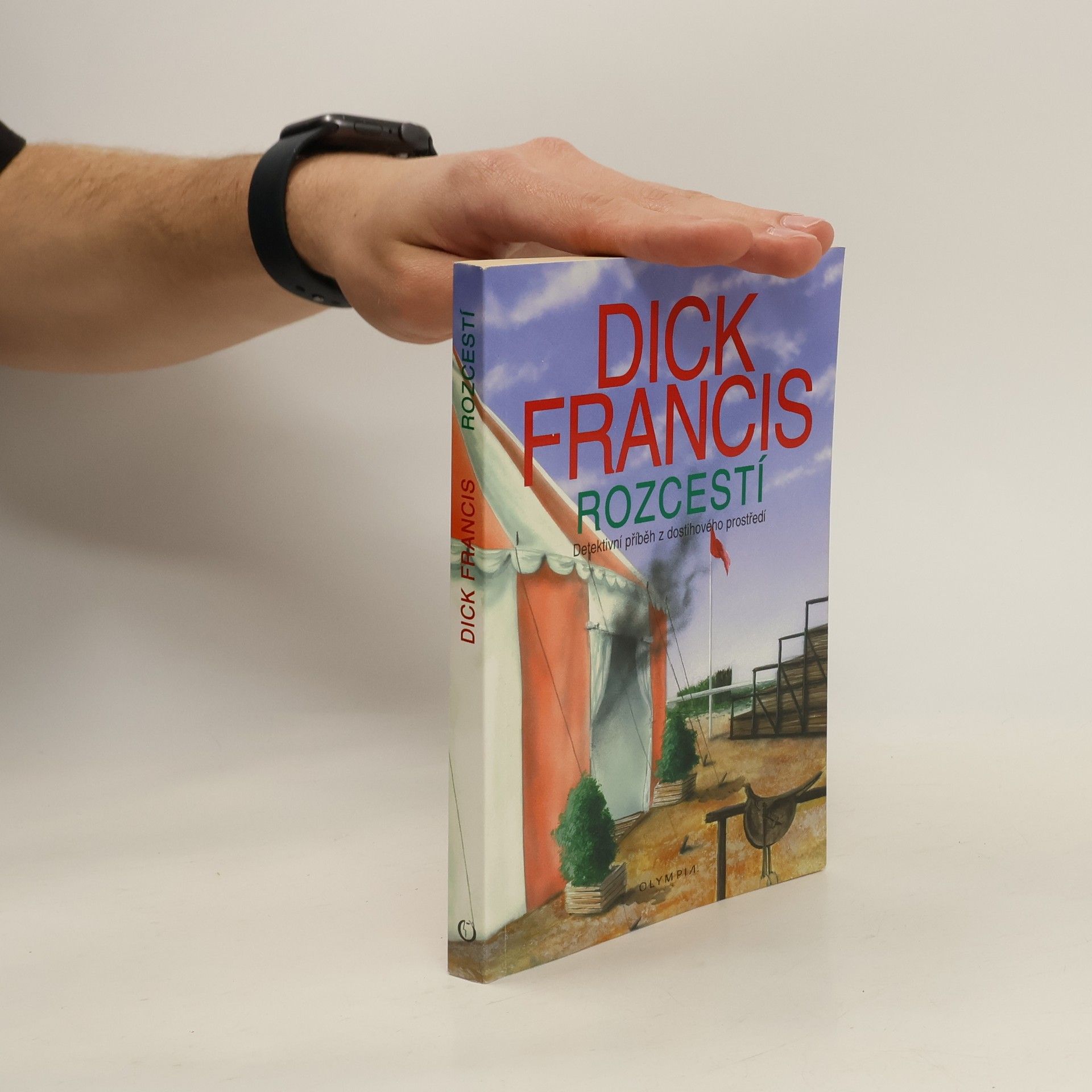 Dick Francis Rozcestí : detektivní příběh z dostihového prostředí