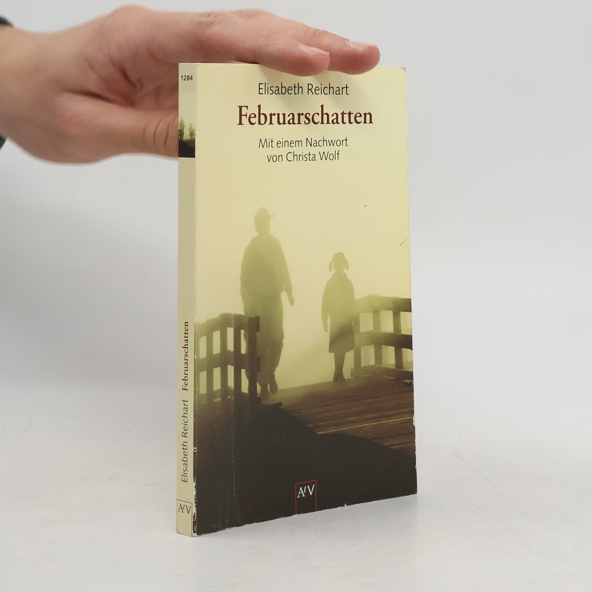 Elisabeth Reichart Februarschatten