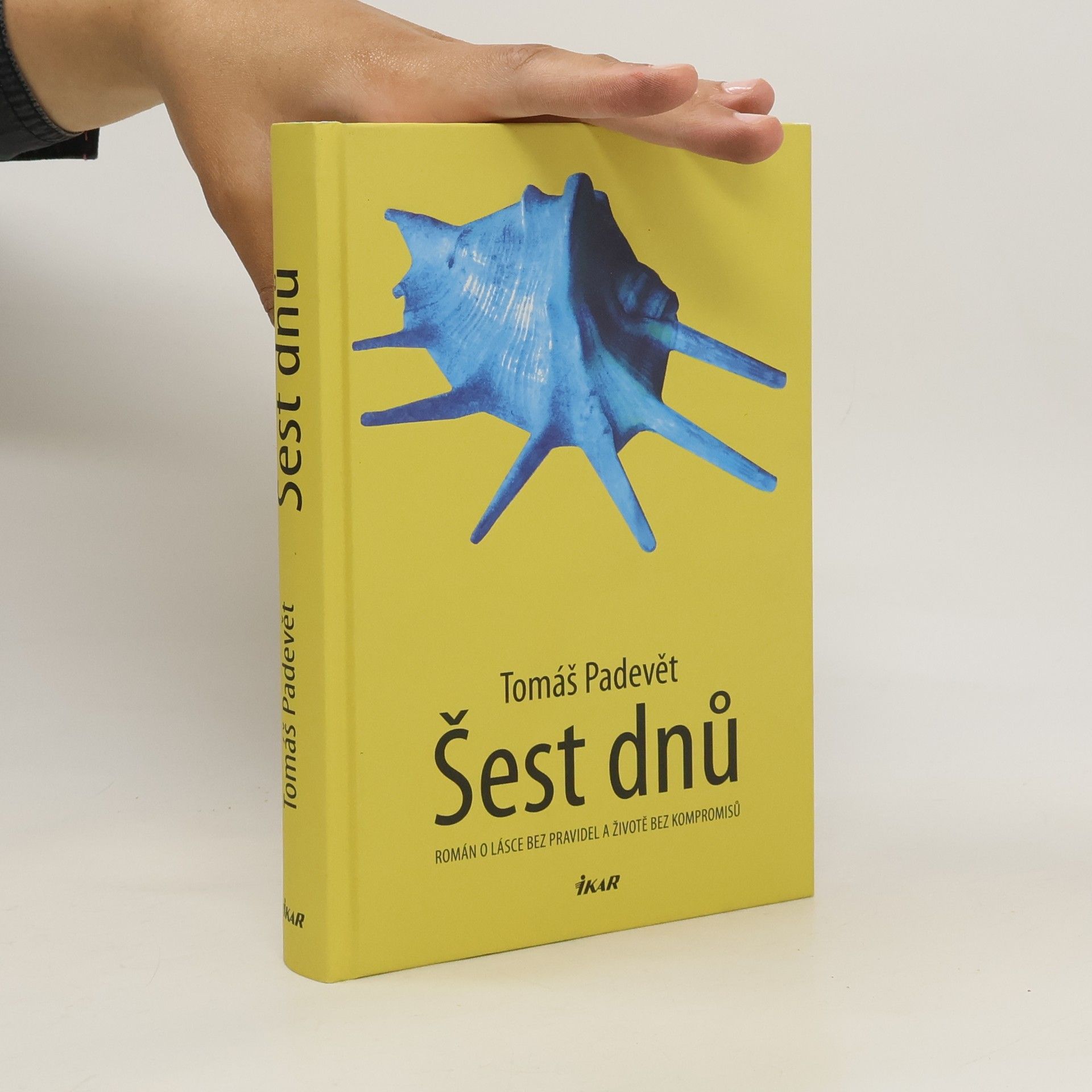 Šest dnů : román o lásce bez pravidel a životě bez kompromisů