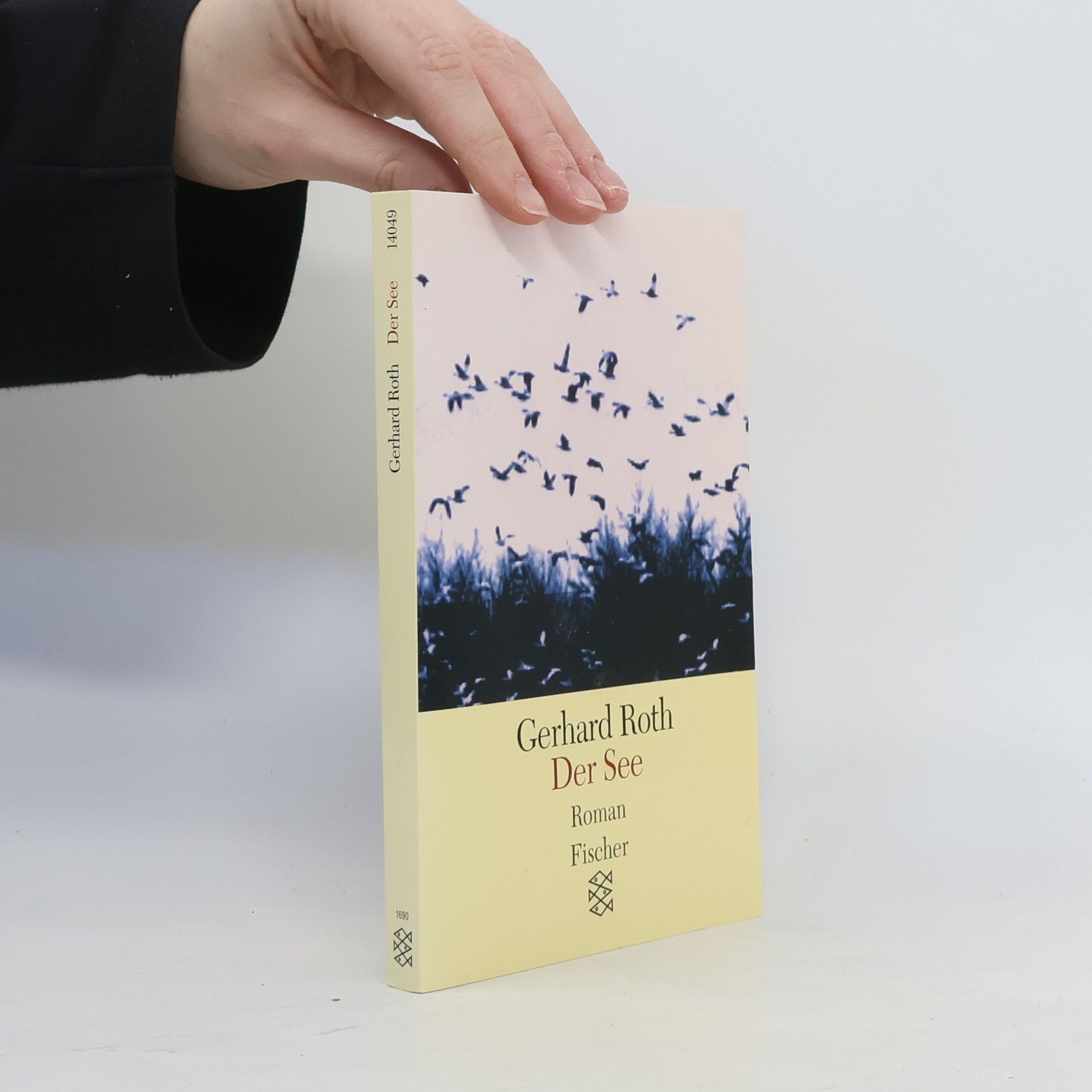 Gerhard Roth Der See : Roman