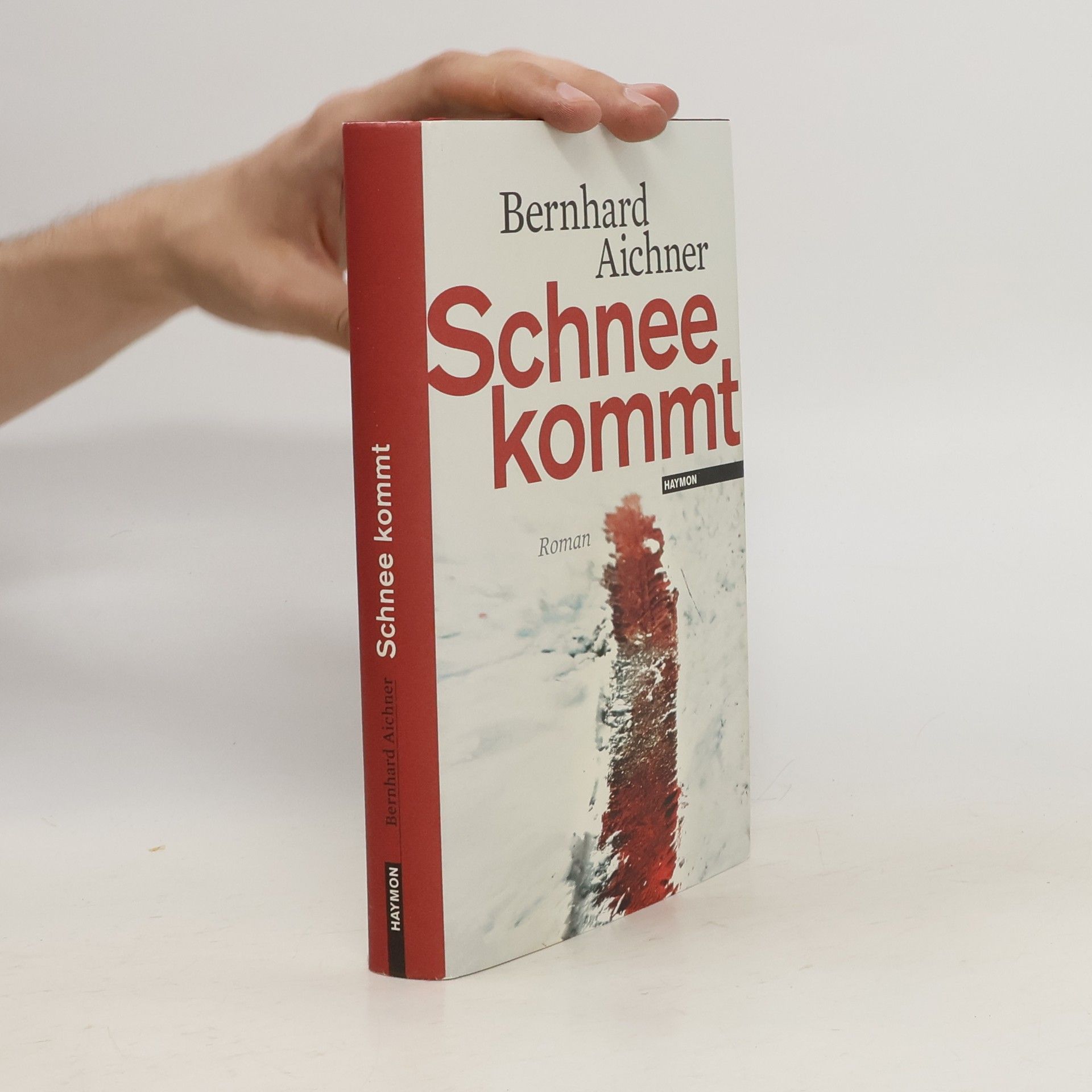 Bernhard Aichner Schnee kommt