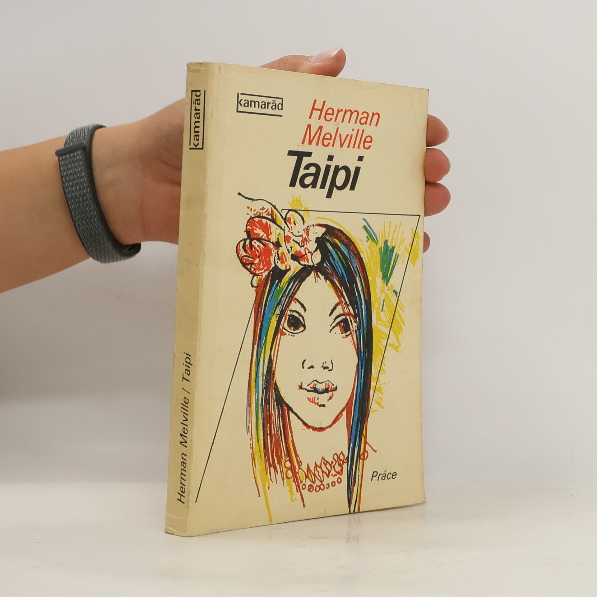 Herman Melville Taipi