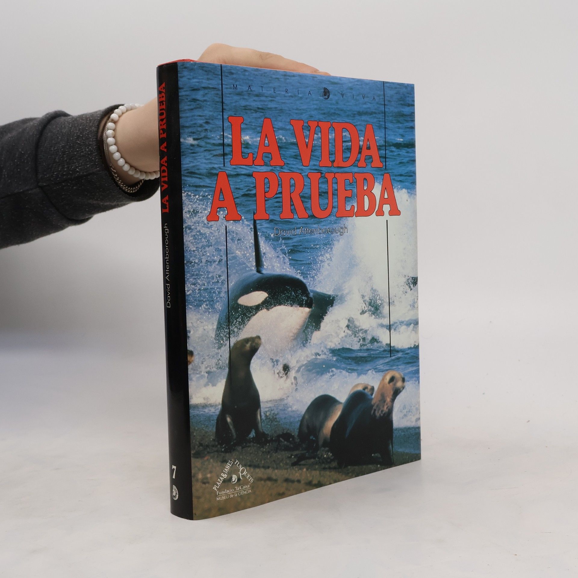 David Attenborough La vida a prueba 7