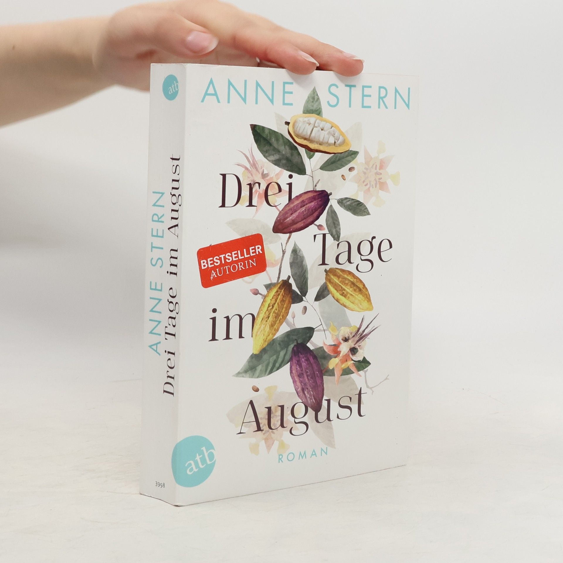 Anne Stern Drei Tage im August