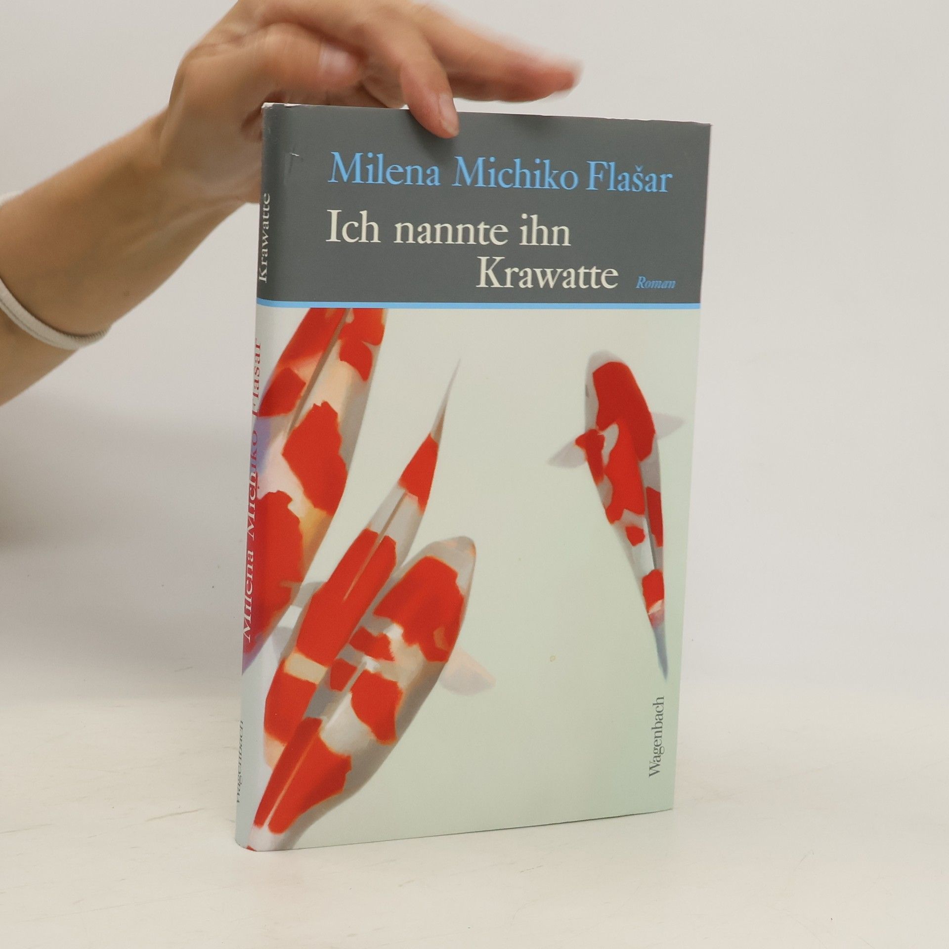 Milena Michiko Flašar Ich nannte ihn Krawatte