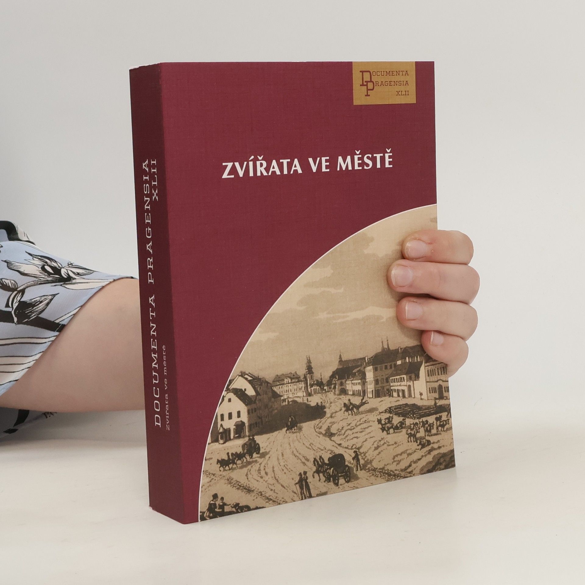kolektiv Zvířata ve městě