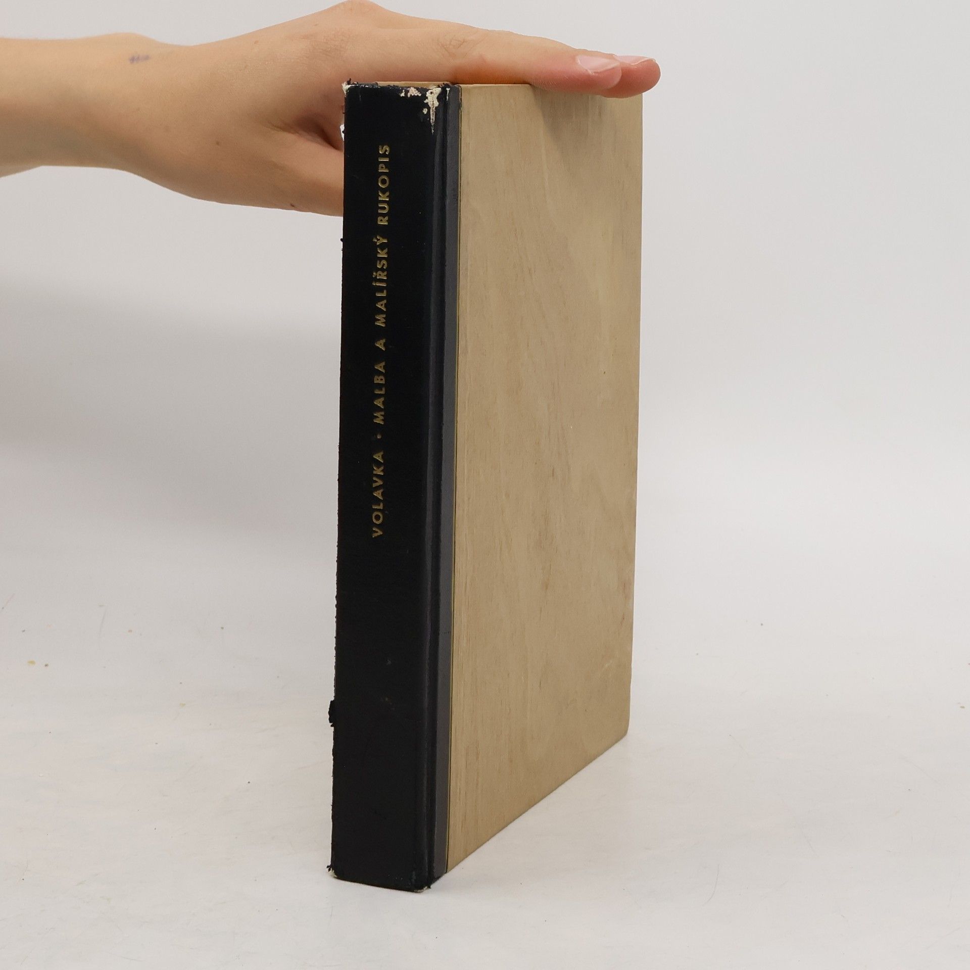 Kolektív autorov Malba a malířský rukopis