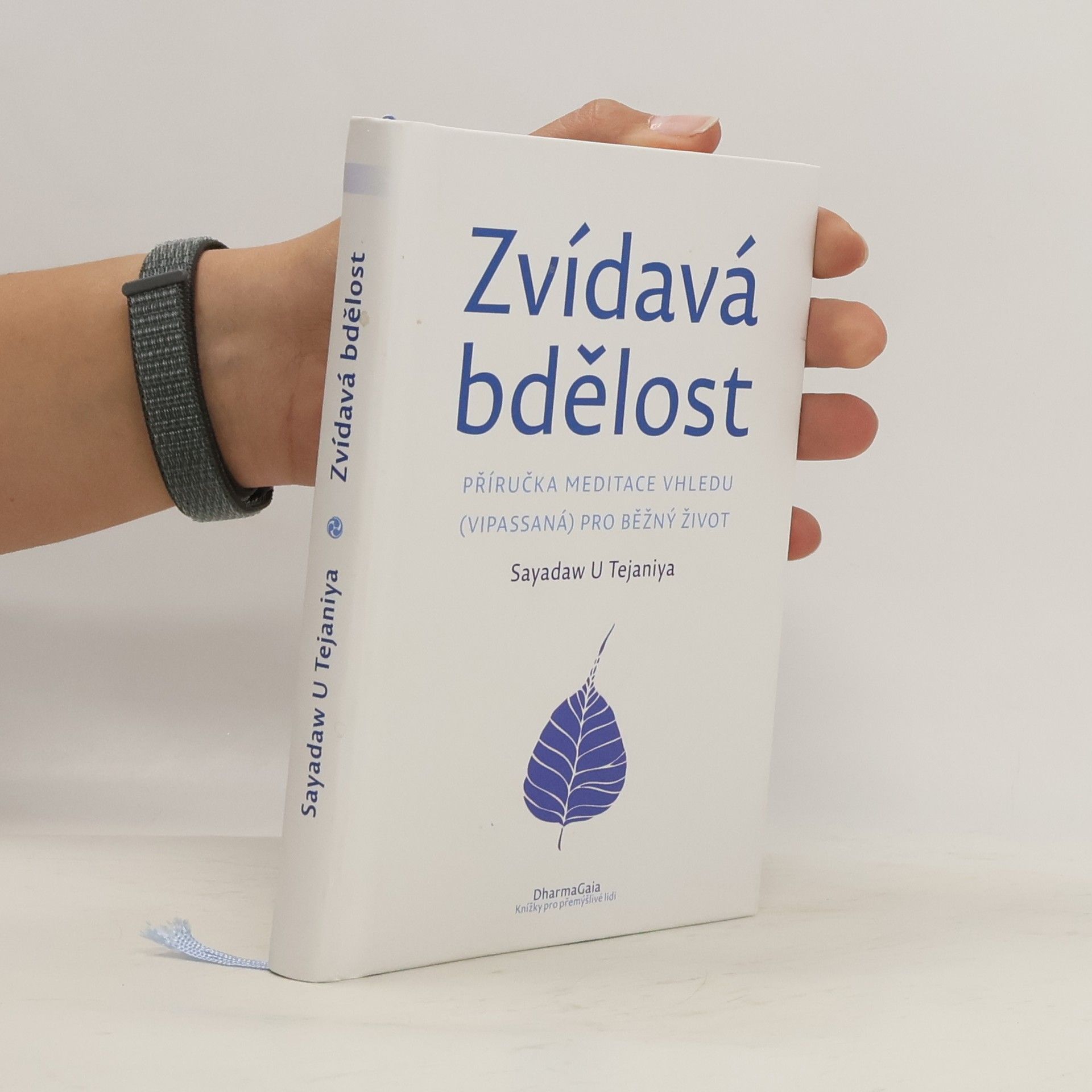 Sayadaw U Tejaniya Zvídavá bdělost : příručka meditace vhledu (vipassaná) pro běžný život