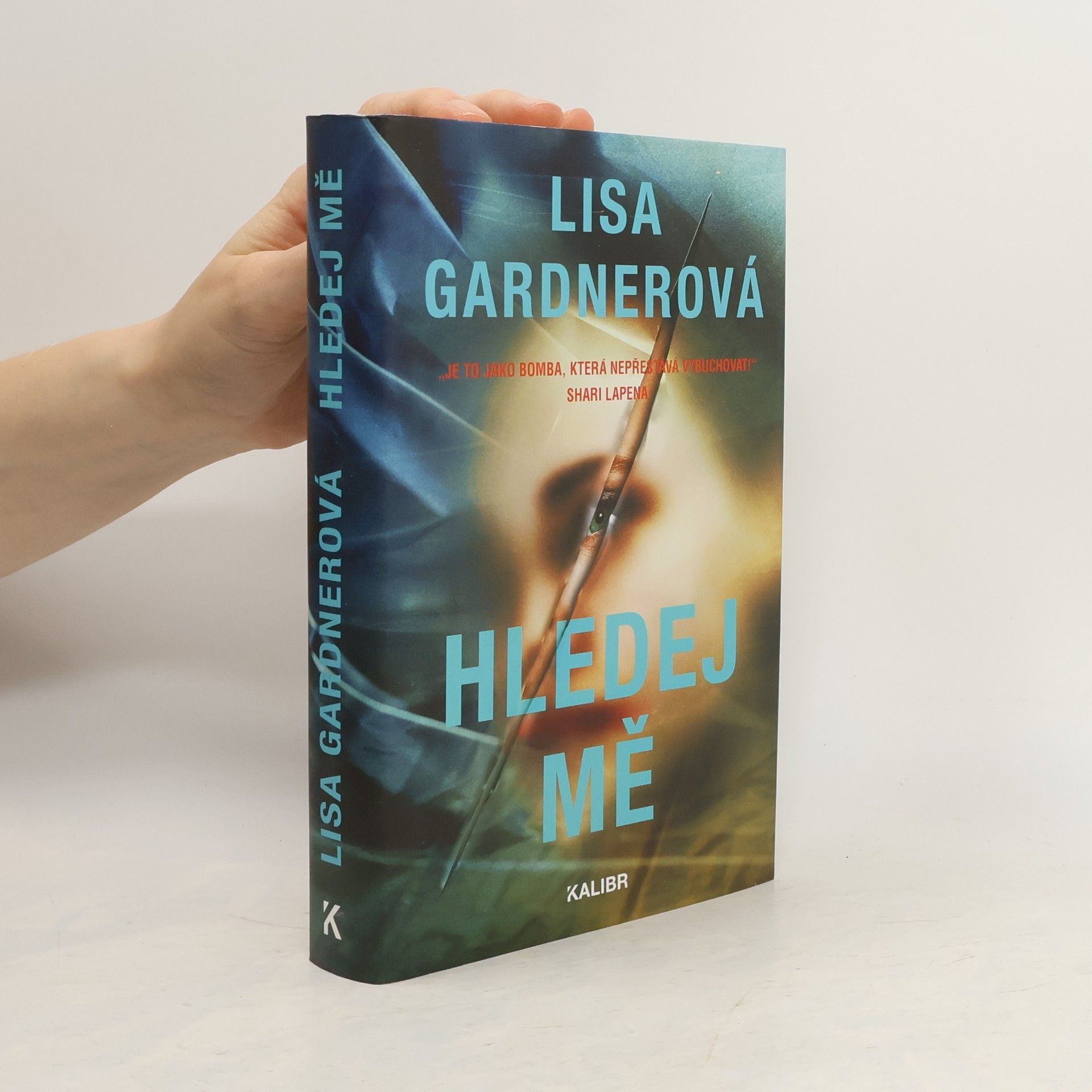 Lisa Gardner Hledej mě