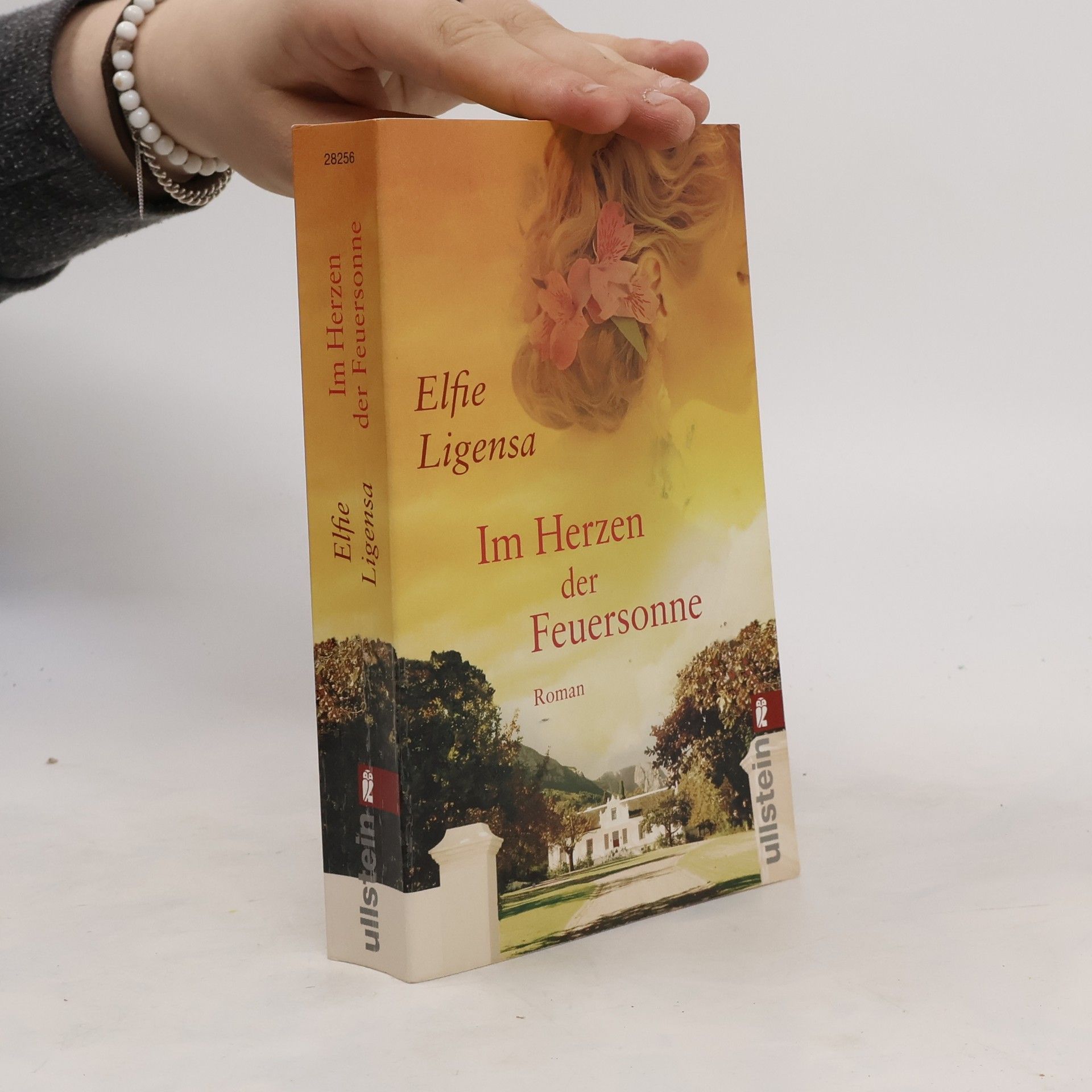 Elfie Ligensa Im Herzen der Feuersonne