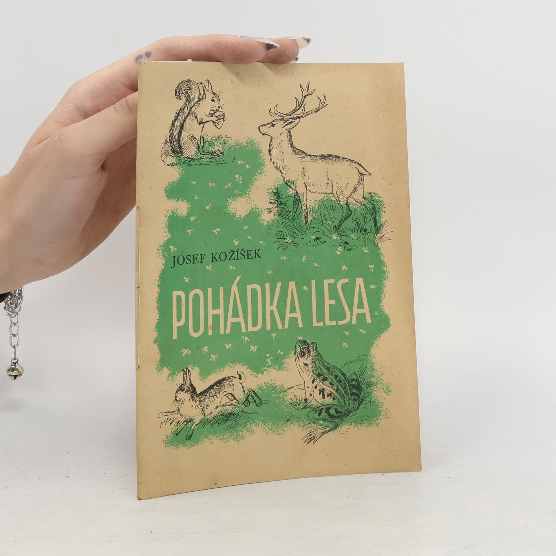 Josef Kožíšek Pohádka lesa