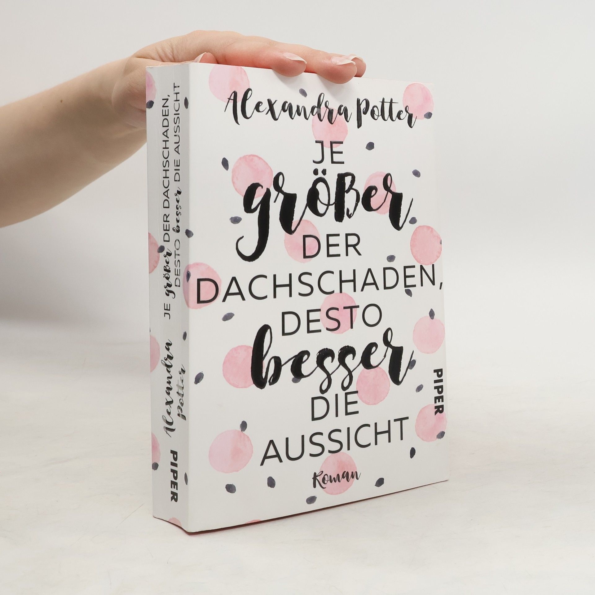 Alexandra Potter Je größer der Dachschaden, desto besser die Aussicht