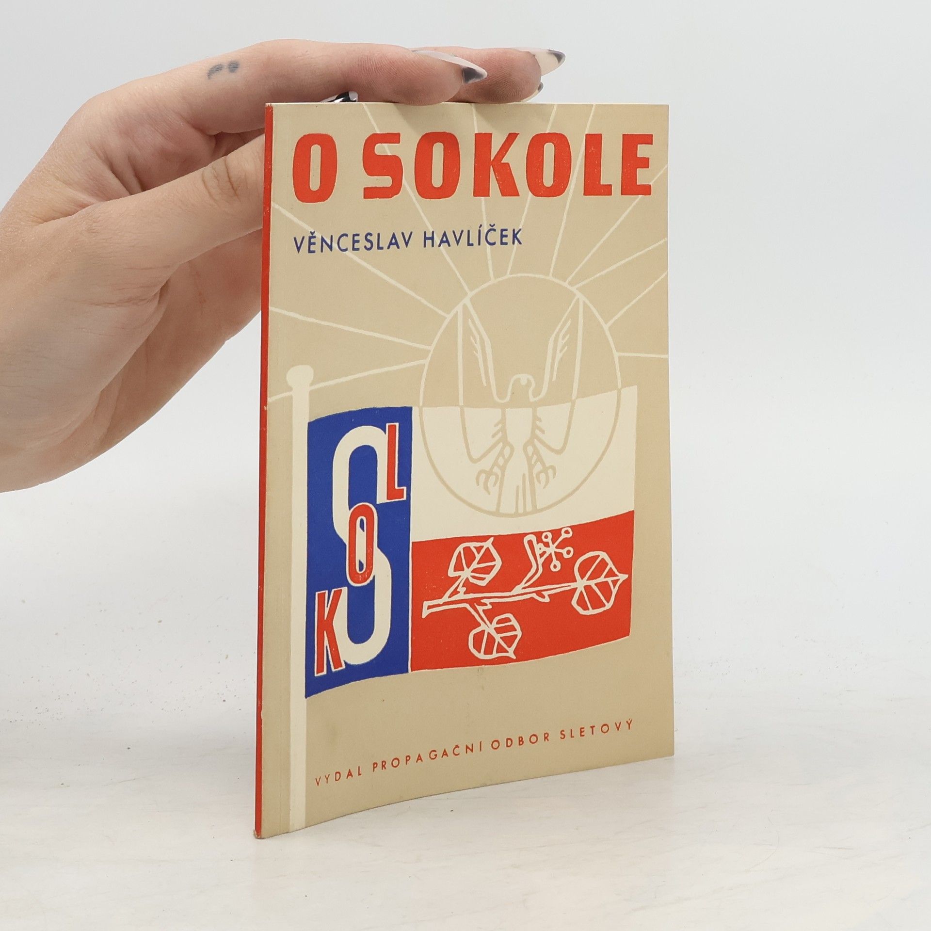 Věnceslav Havlíček O sokole